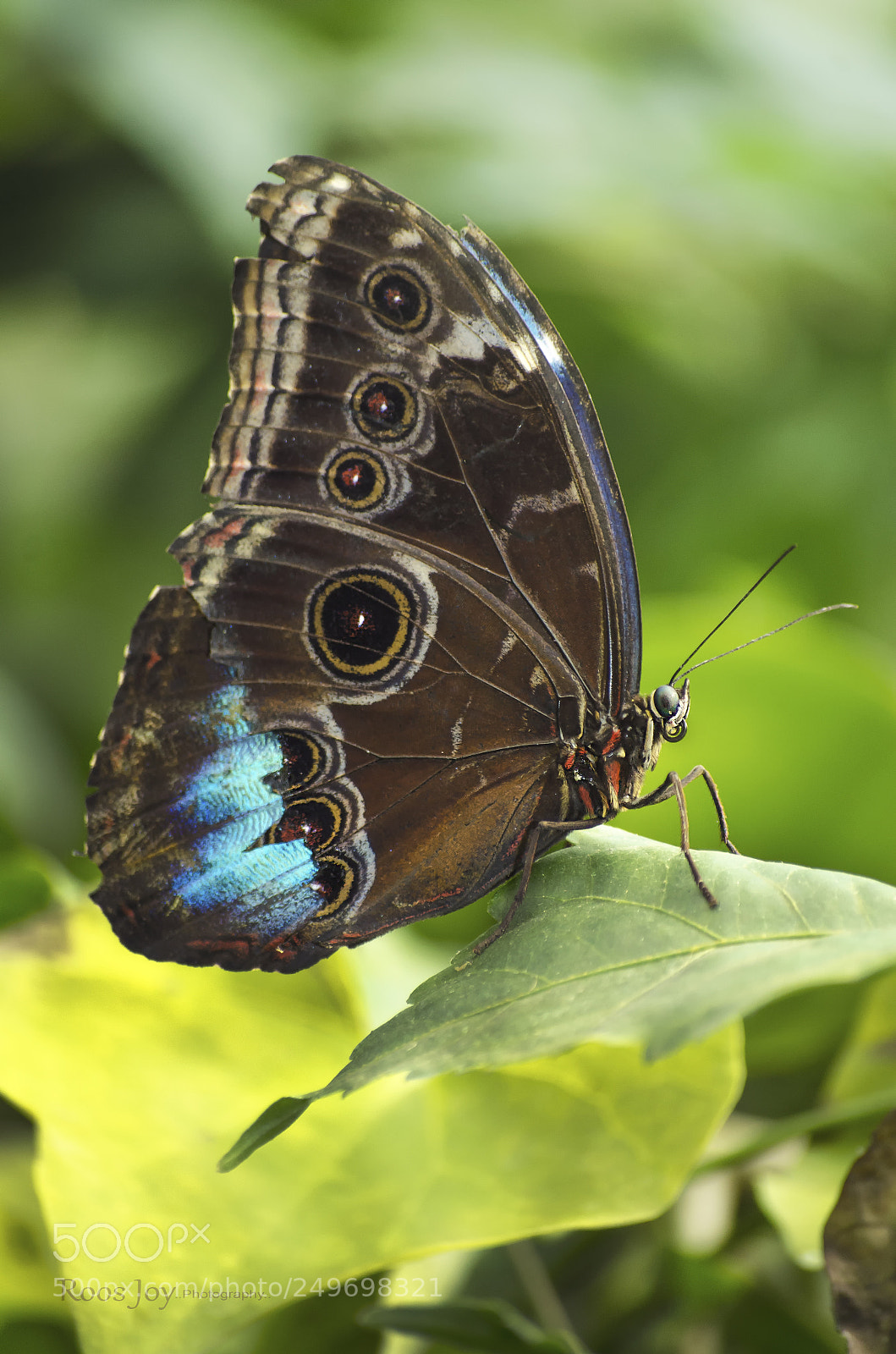 Nikon D5100 sample photo. Broken photography