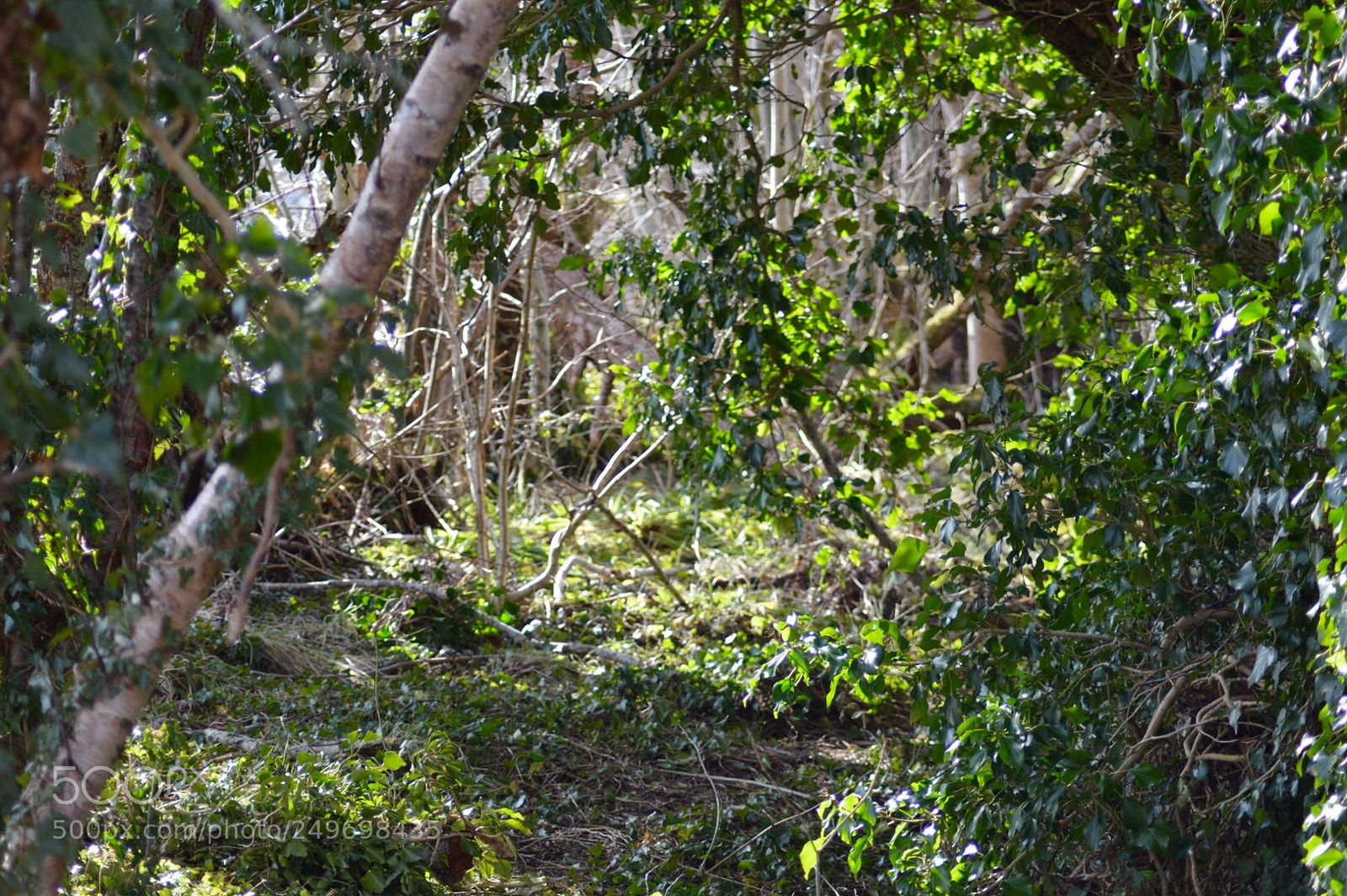 Nikon D3200 sample photo. Untitled photography