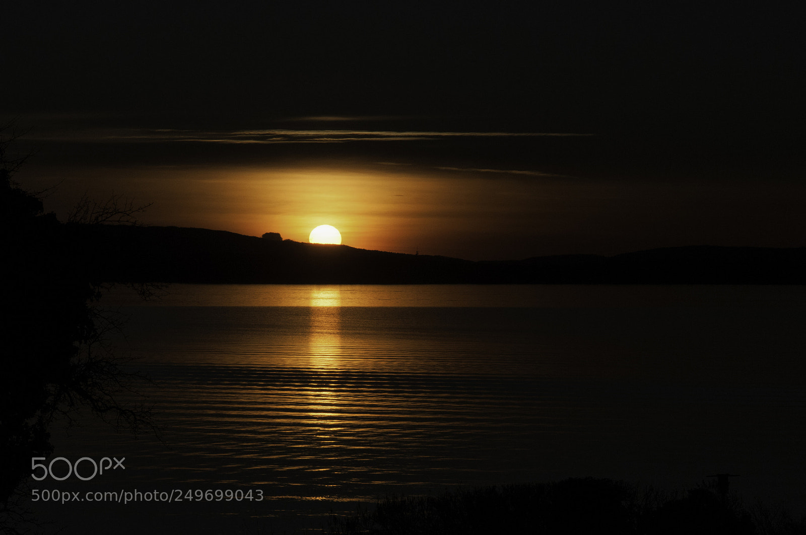 Nikon D300 sample photo. Lines of life photography