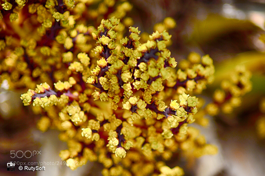 Nikon D3200 sample photo. Nature photography