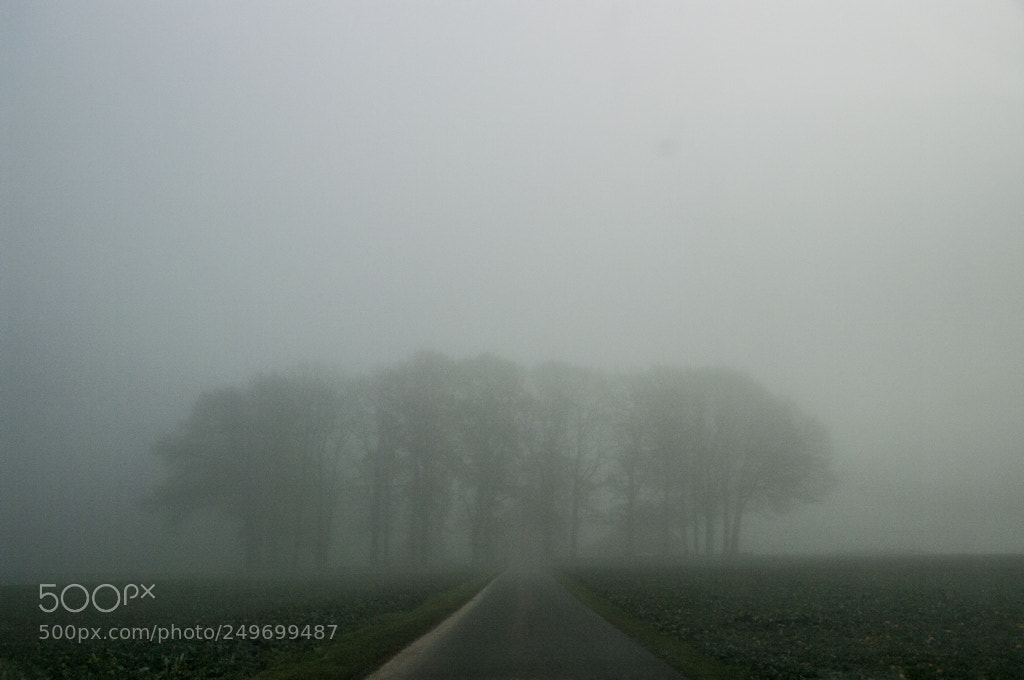 Pentax K20D sample photo. Das kleine w ldchen photography