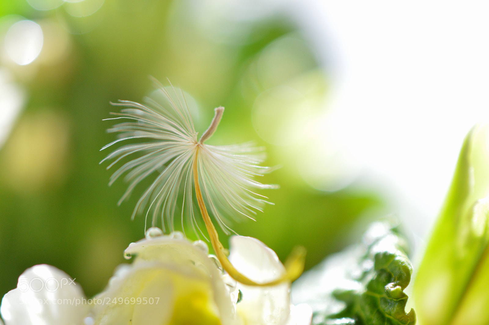 Nikon D3200 sample photo. Untitled photography