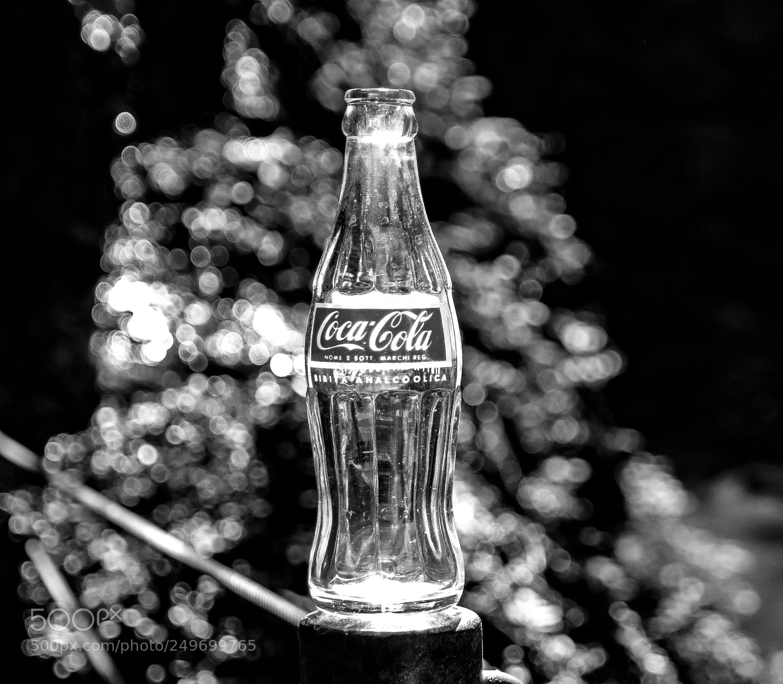 Canon EOS 70D sample photo. Daily coca-cola picture stand photography