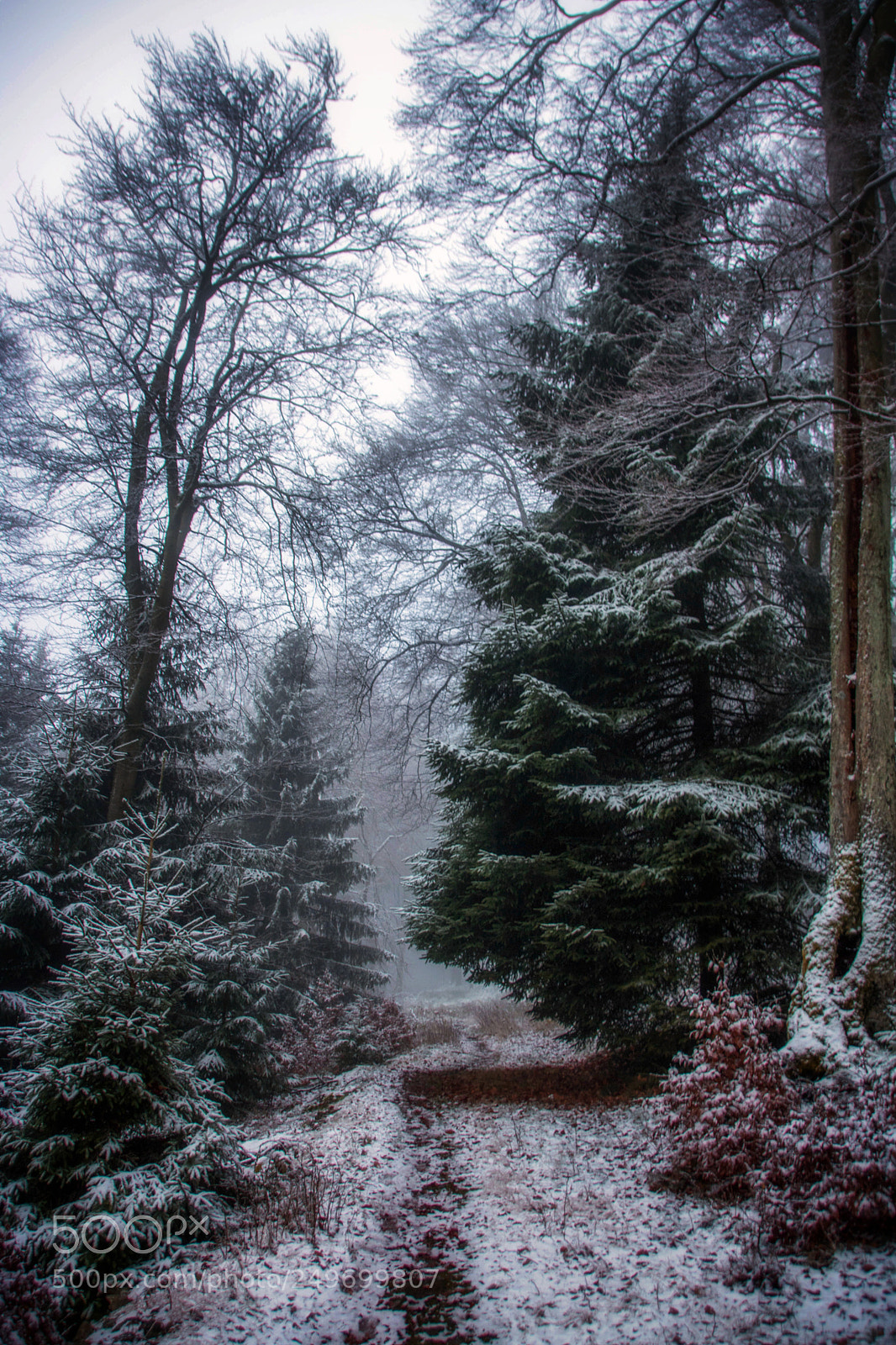 Canon EOS 750D (EOS Rebel T6i / EOS Kiss X8i) sample photo. Still winter.. photography
