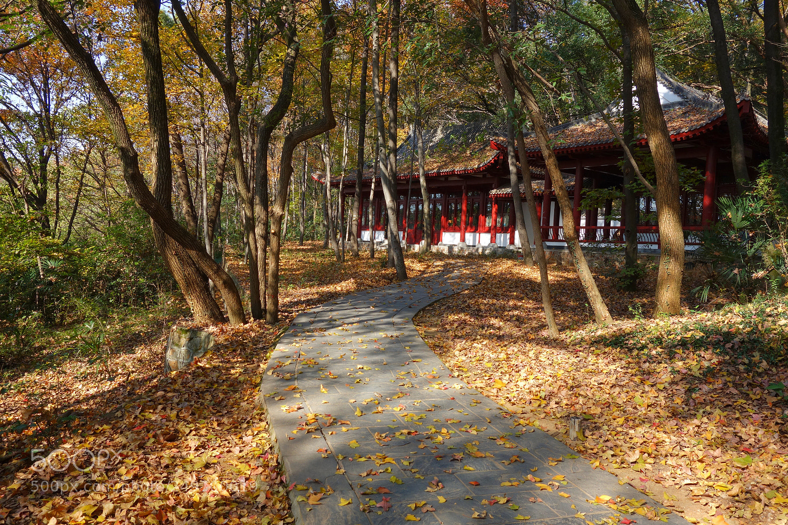 Sony Cyber-shot DSC-RX100 sample photo. Autumn photography