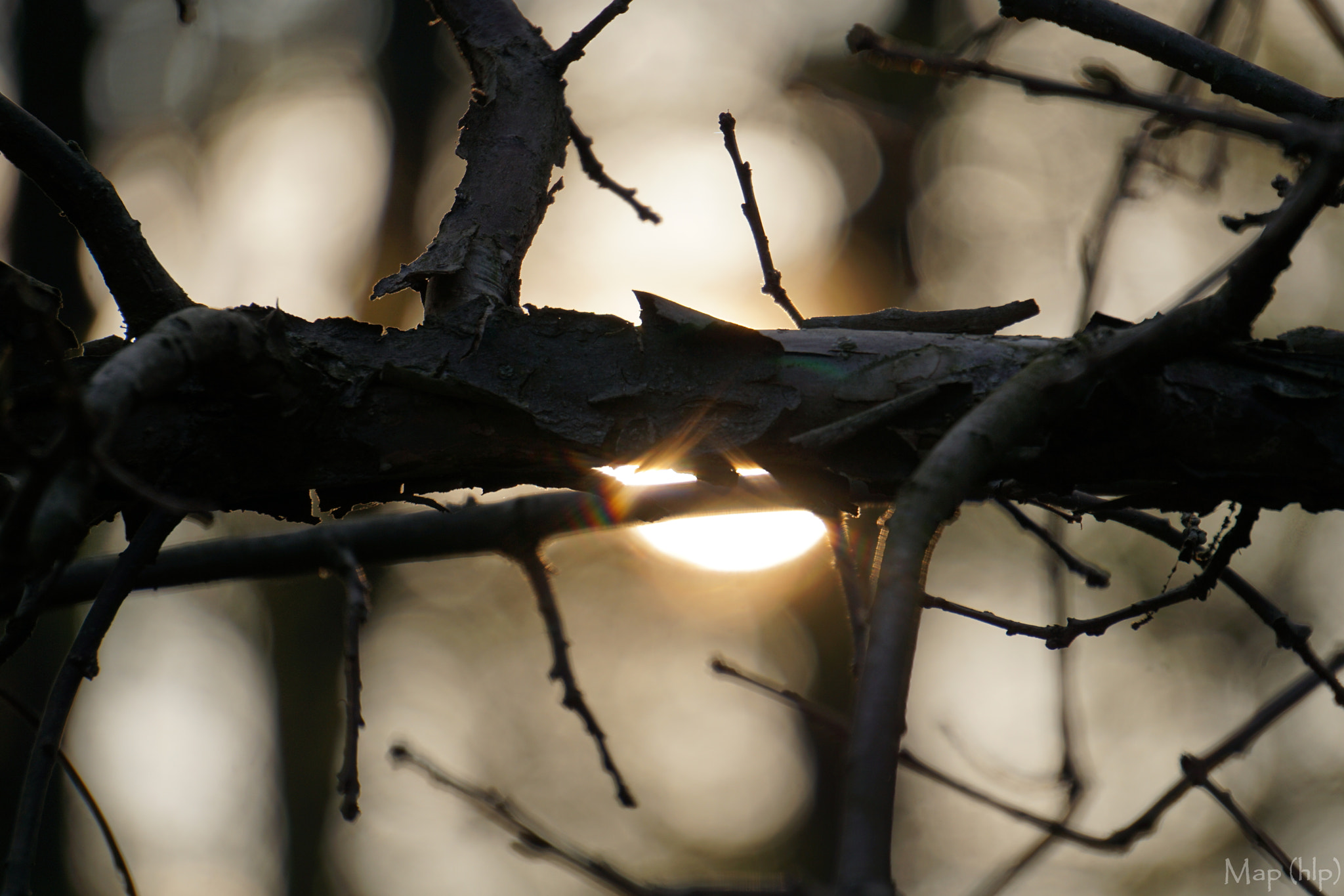 Sony E 55-210mm F4.5-6.3 OSS sample photo. The game with the sun photography