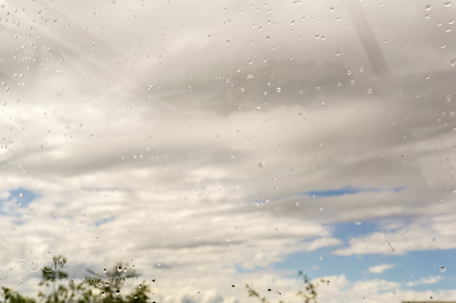 Sony a6000 sample photo. Rain drops on the photography