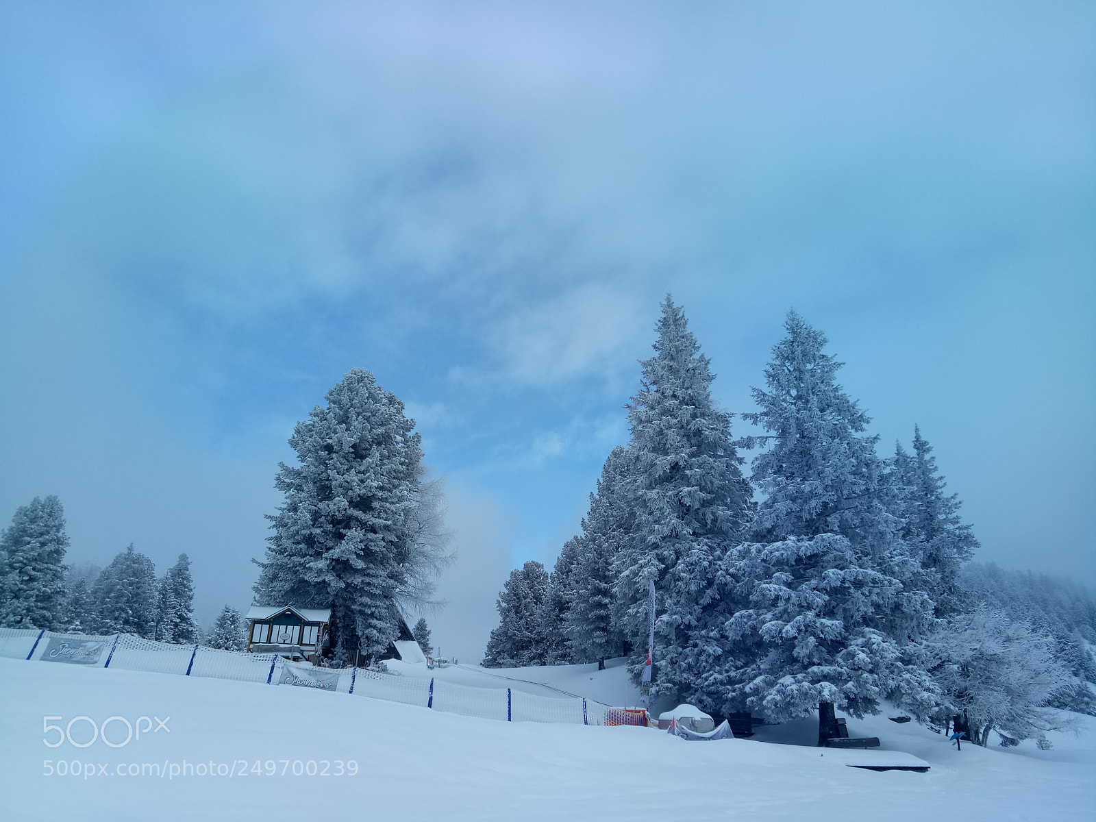 OPPO A1601 sample photo. Winterscape photography