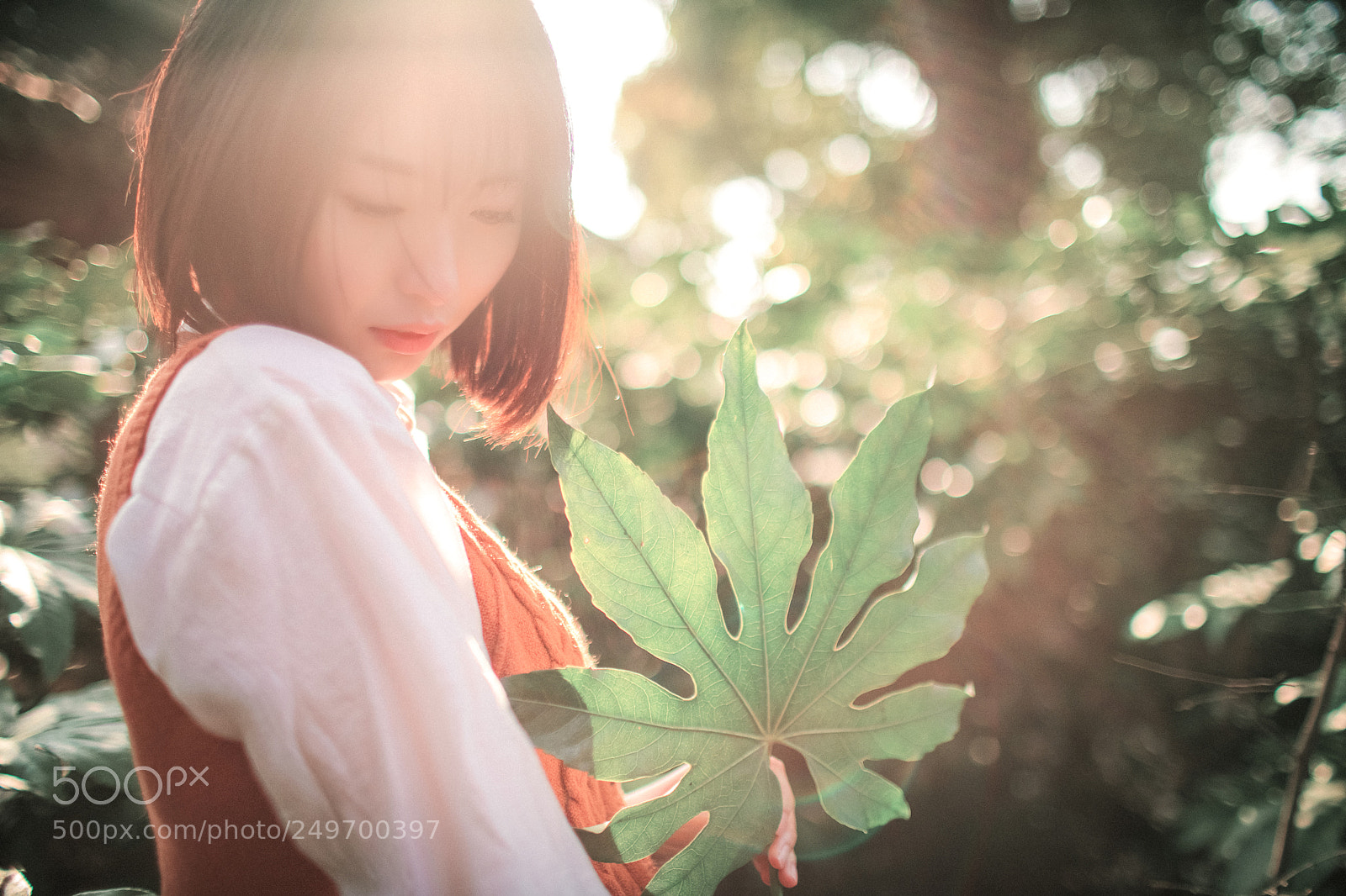 Canon EOS 5D Mark IV sample photo. 流光 photography