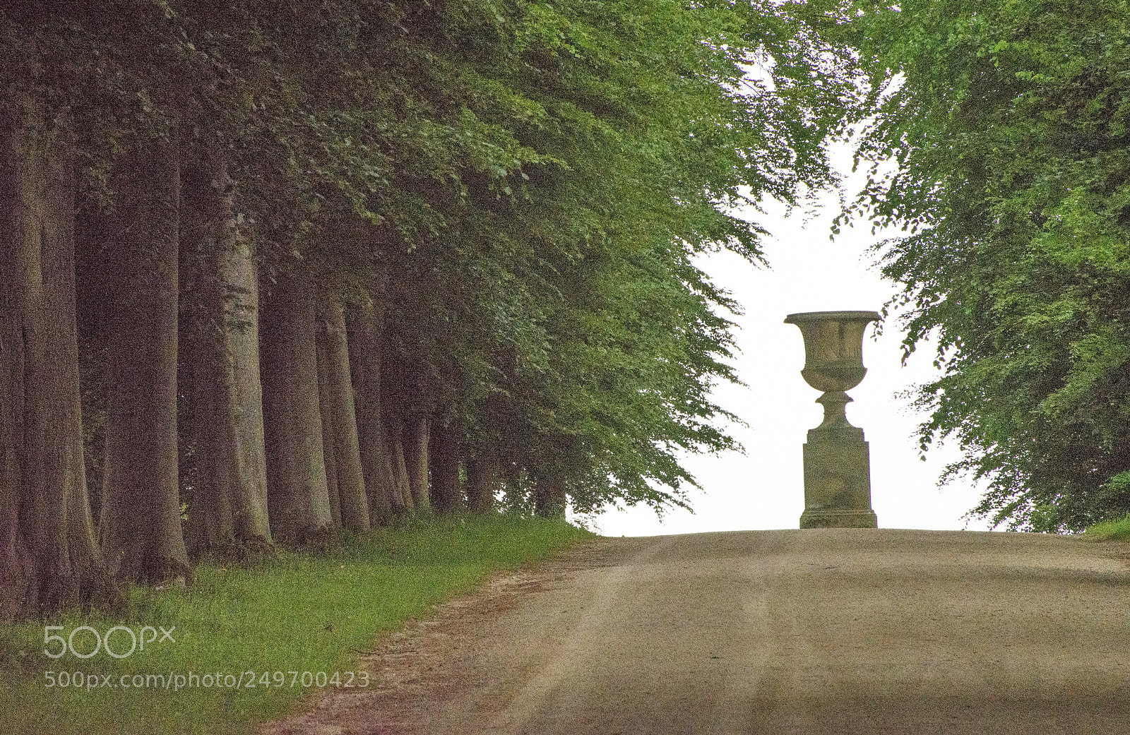 Nikon D600 sample photo. Urn view! (1) photography