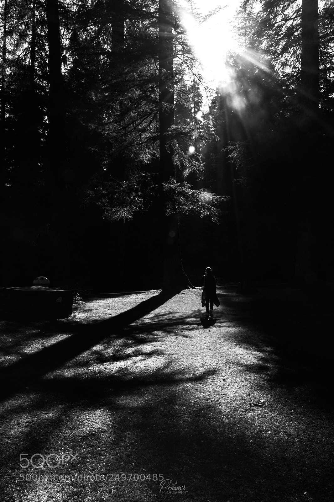 Nikon D7100 sample photo. Journey photography