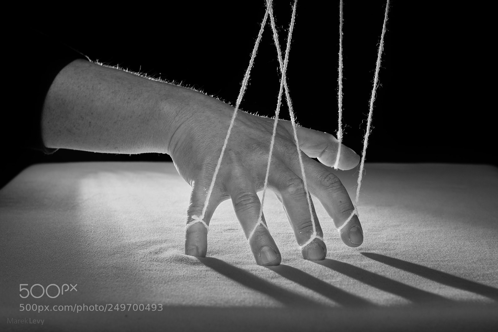 Nikon D5300 sample photo. Puppet photography
