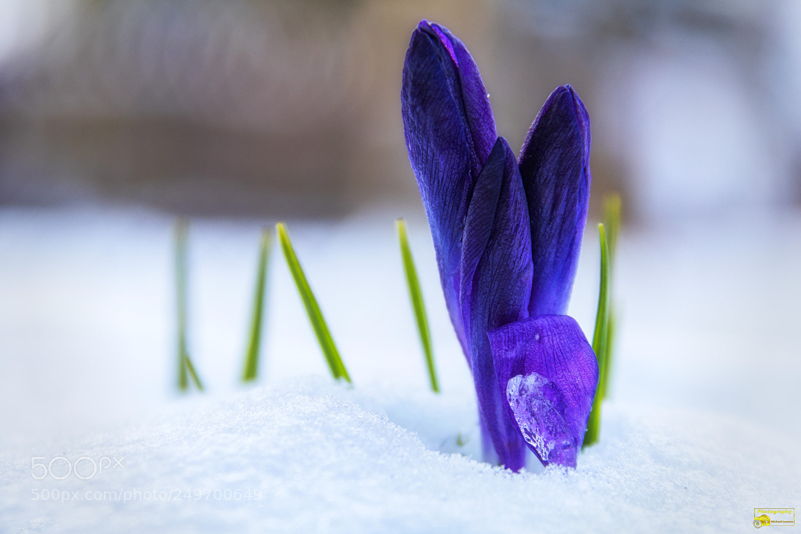 Canon EOS 80D sample photo. Frühling 2018 photography