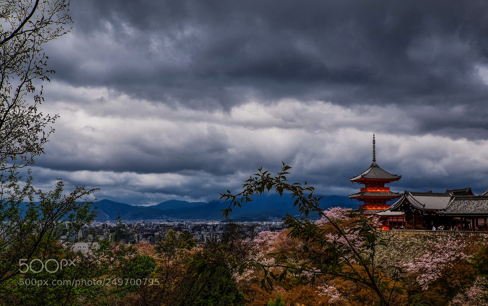 Fujifilm X-T1 sample photo. Park in kyoto photography