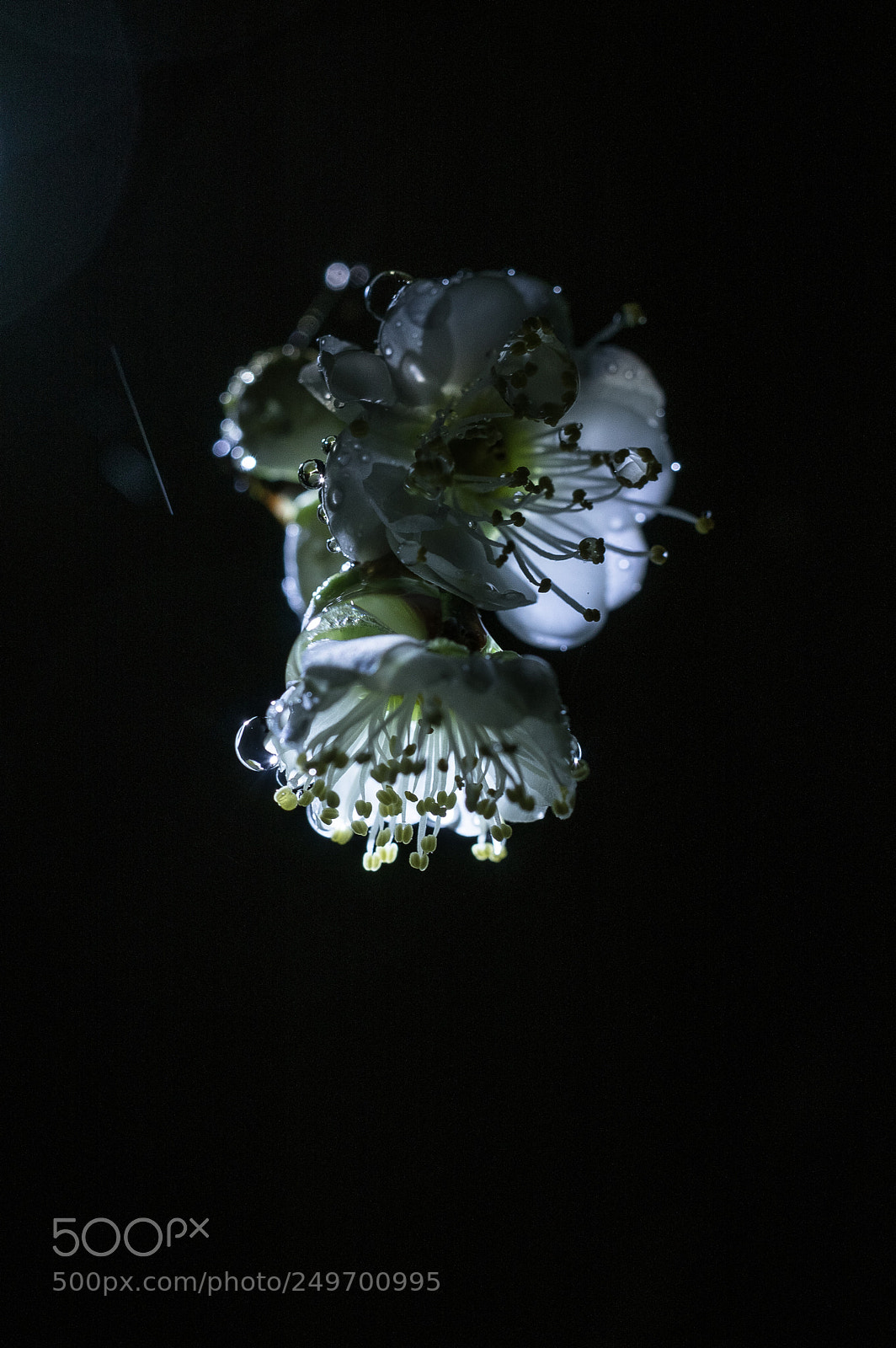 Pentax K-3 II sample photo. Rainy night photography