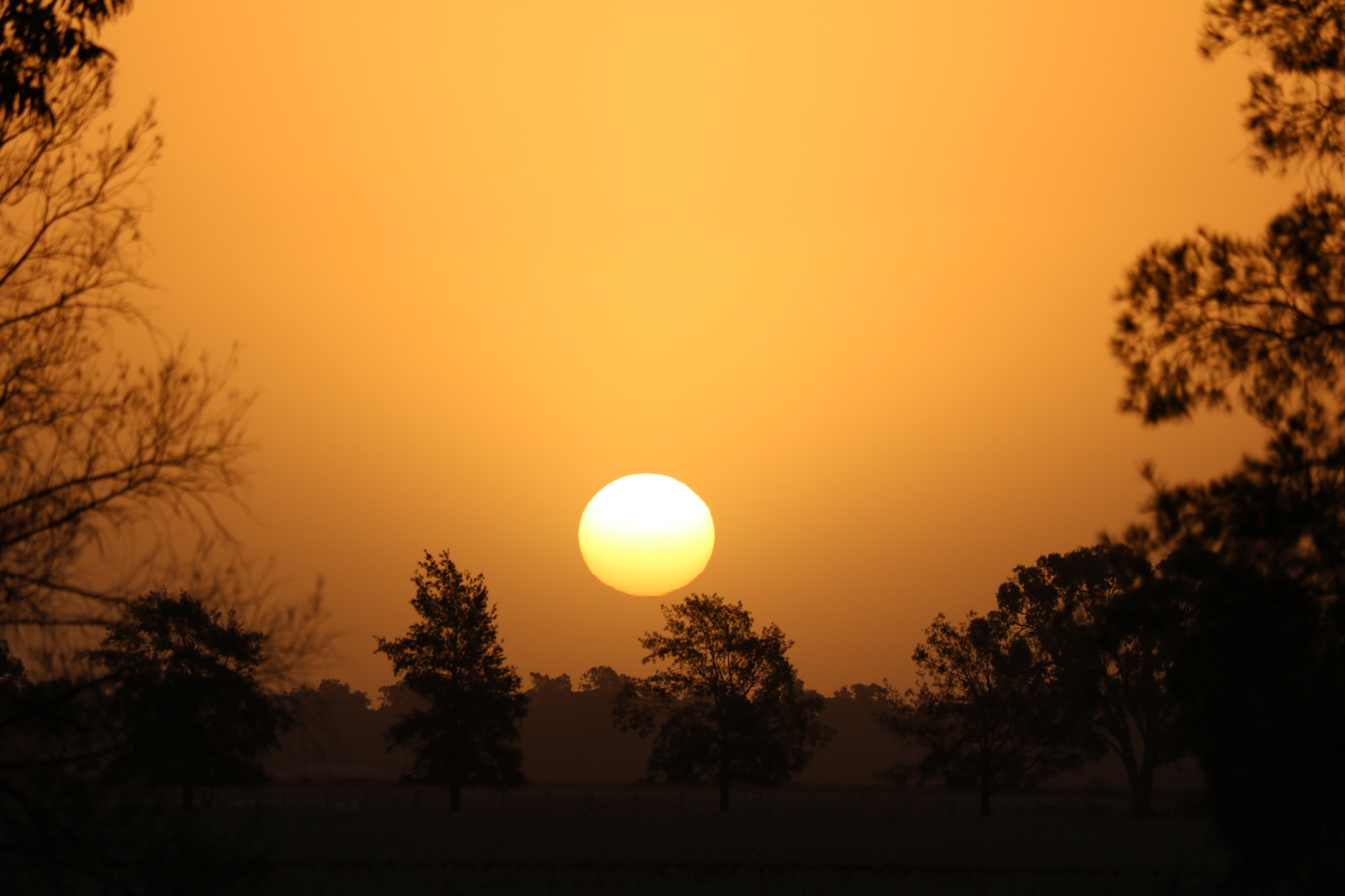 Canon EF-S 55-250mm F4-5.6 IS STM sample photo. Sundown tonight at hilston nsw photography