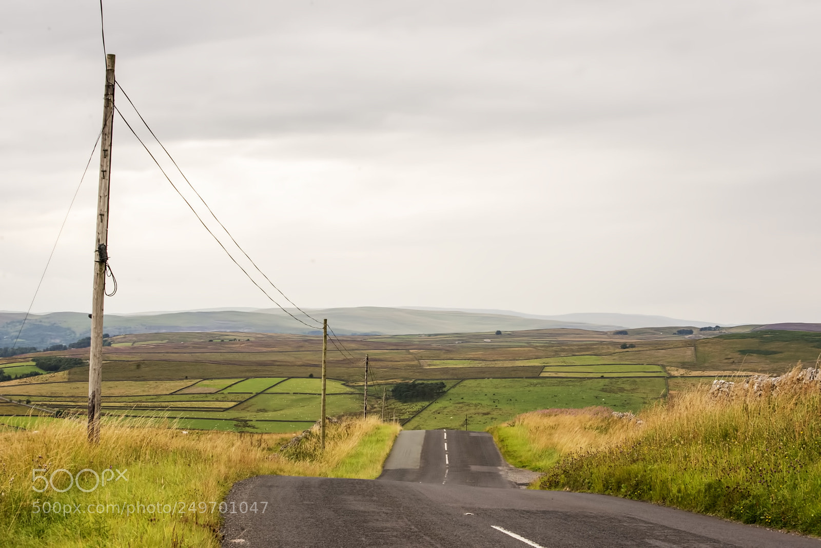 Nikon D600 sample photo. Undulating road (1) photography