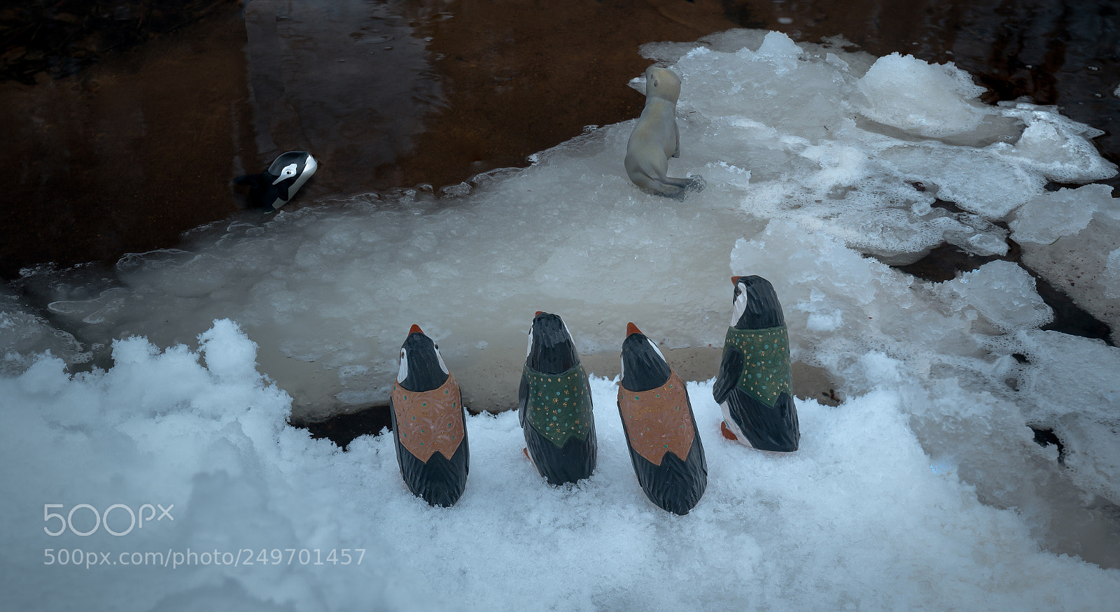 Canon EOS 7D Mark II sample photo. The great penguin adventure photography