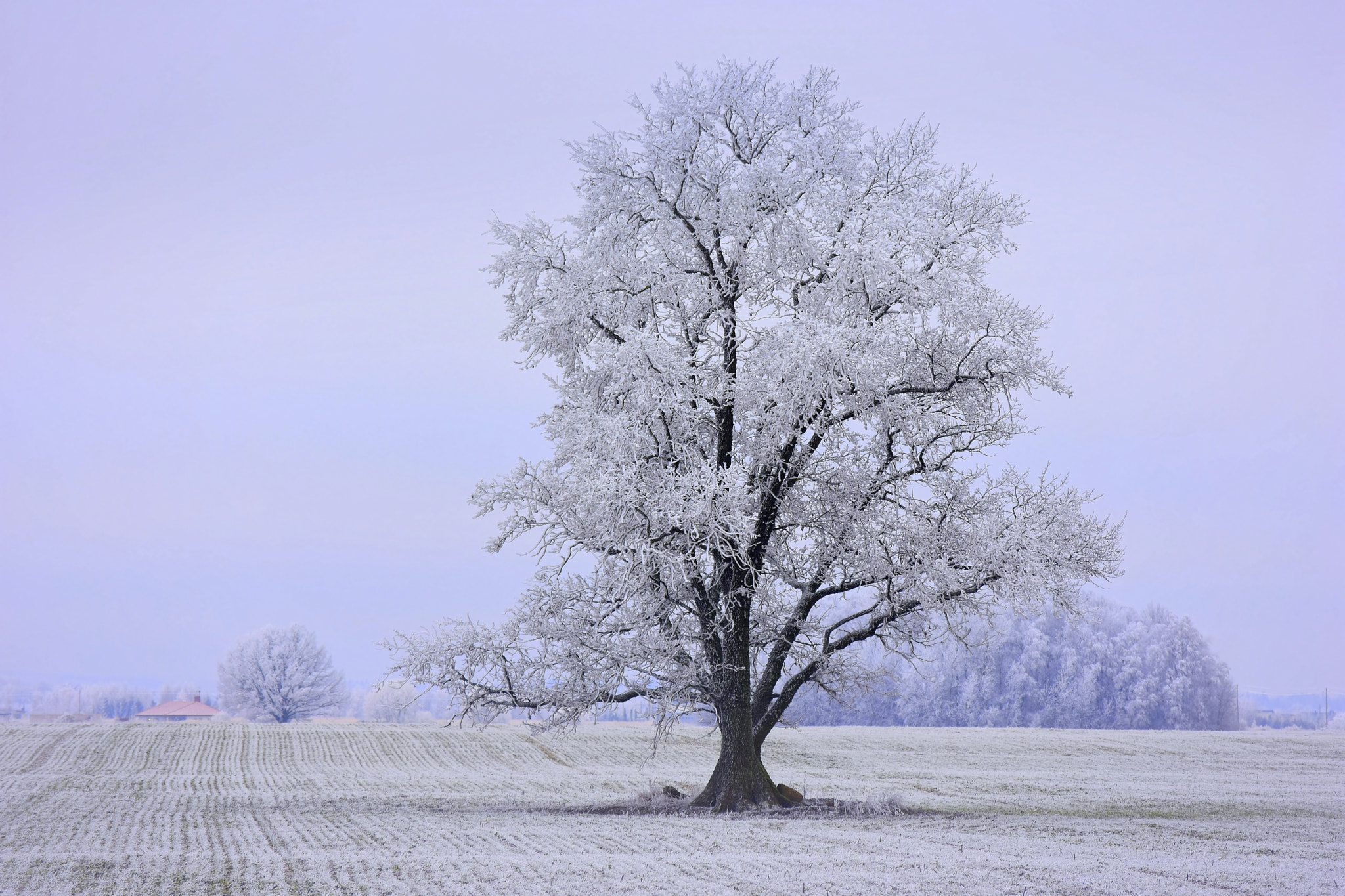 Nikon D3400 sample photo. Wintertime photography