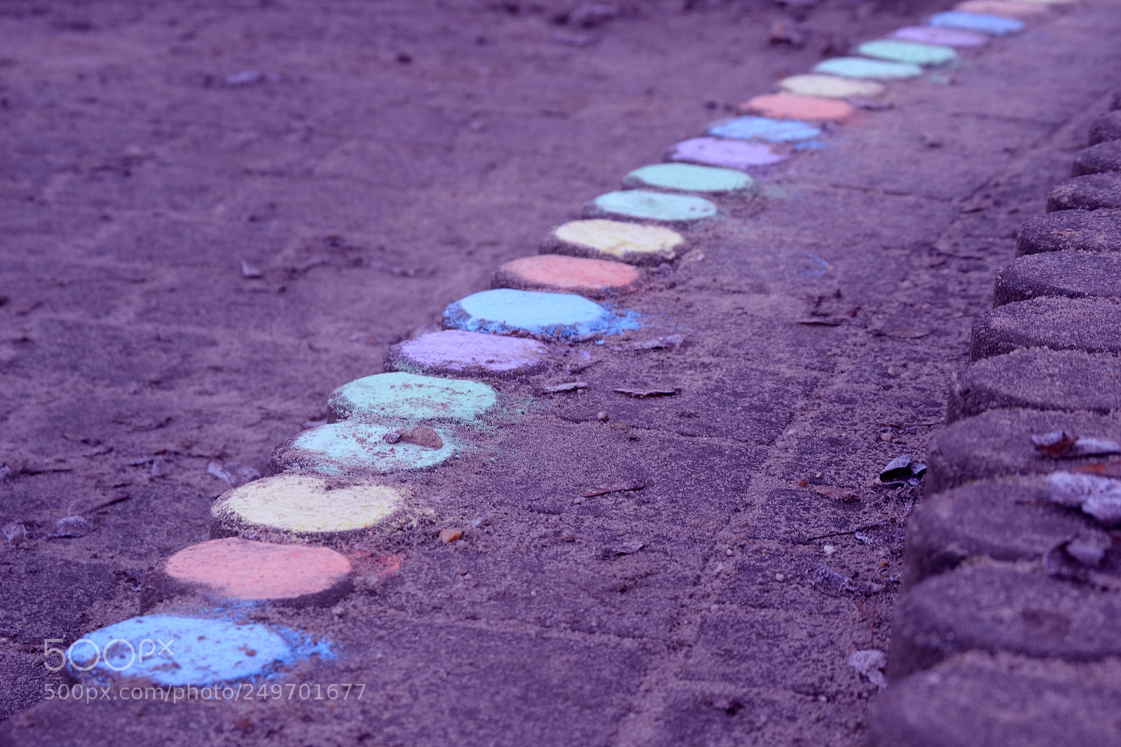 Nikon D3100 sample photo. Multi colour photography