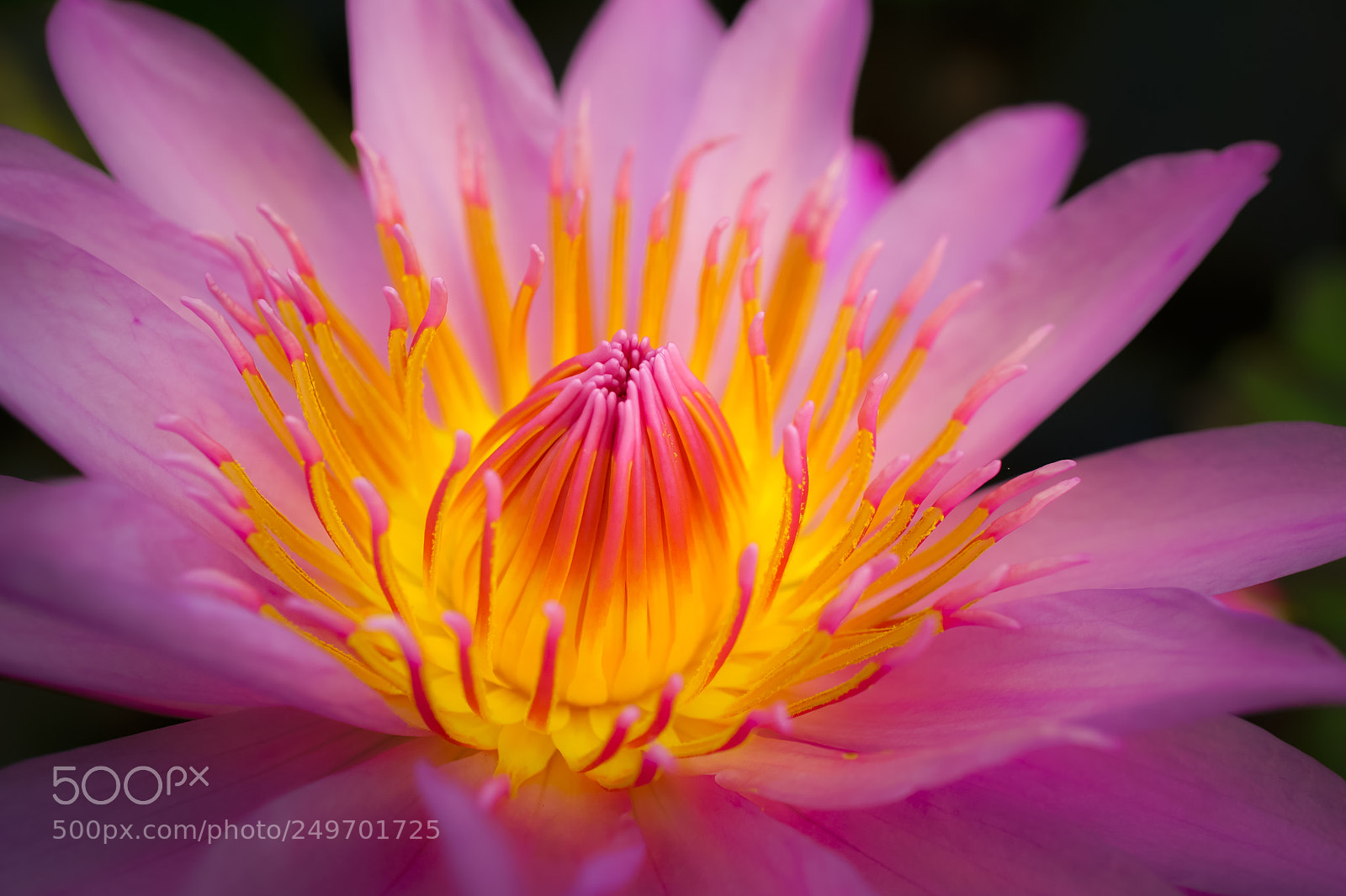 Sony a6000 sample photo. Glowing beauty photography