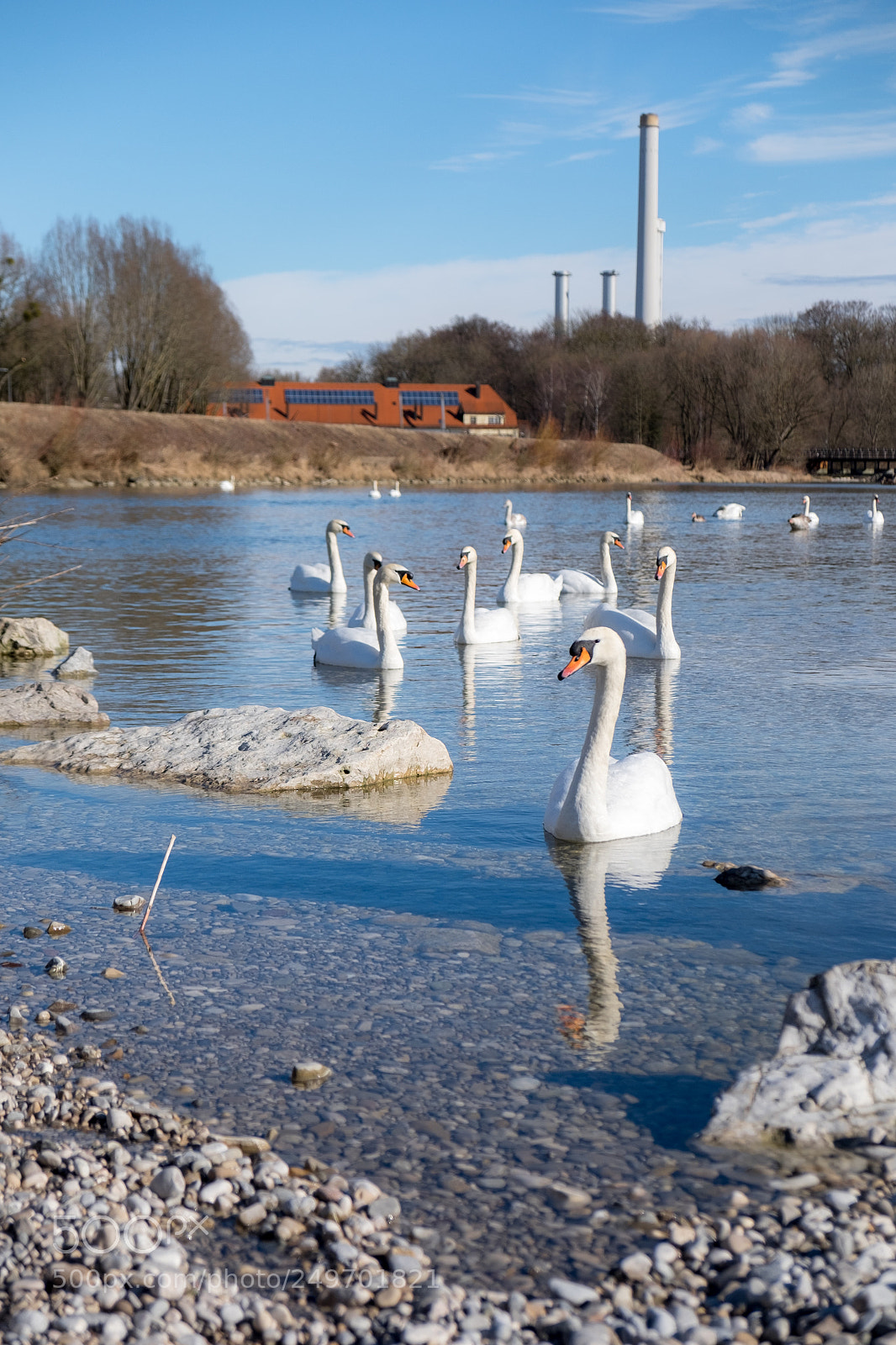 Fujifilm X-E2 sample photo. Swans of flaucher photography