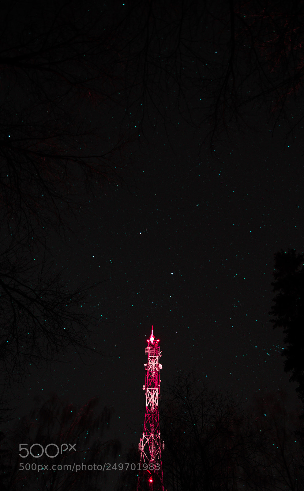 Nikon D5100 sample photo. Starry sky above the photography