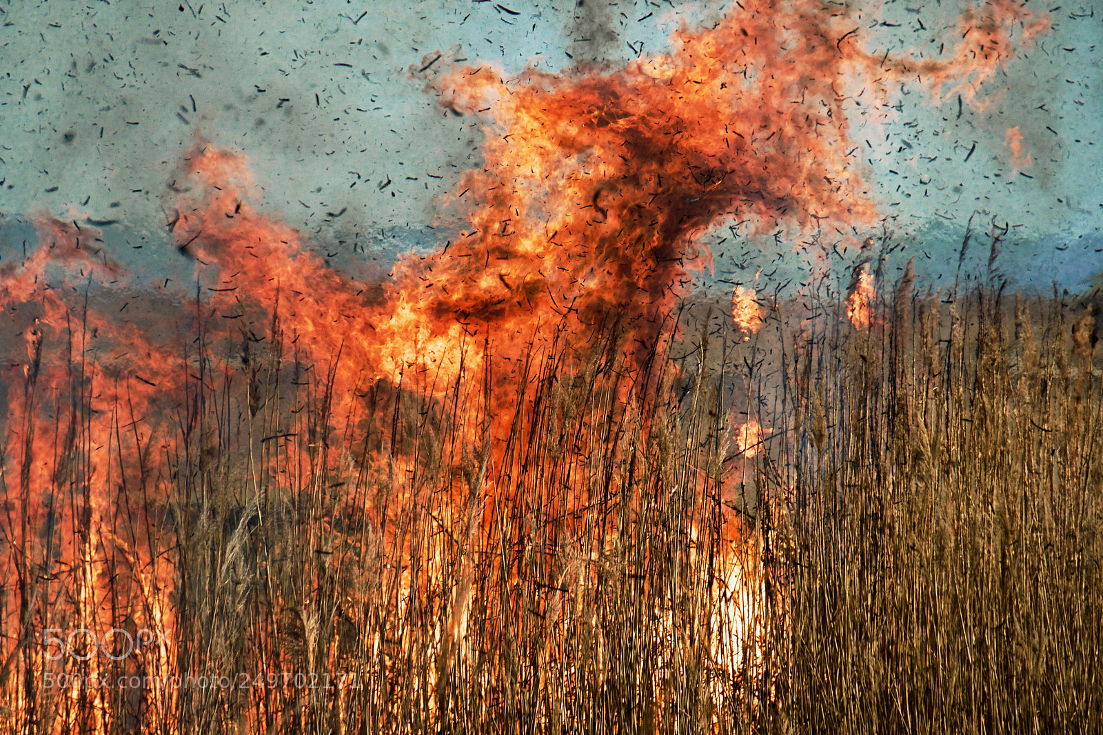 Sony a6500 sample photo. Fire! photography