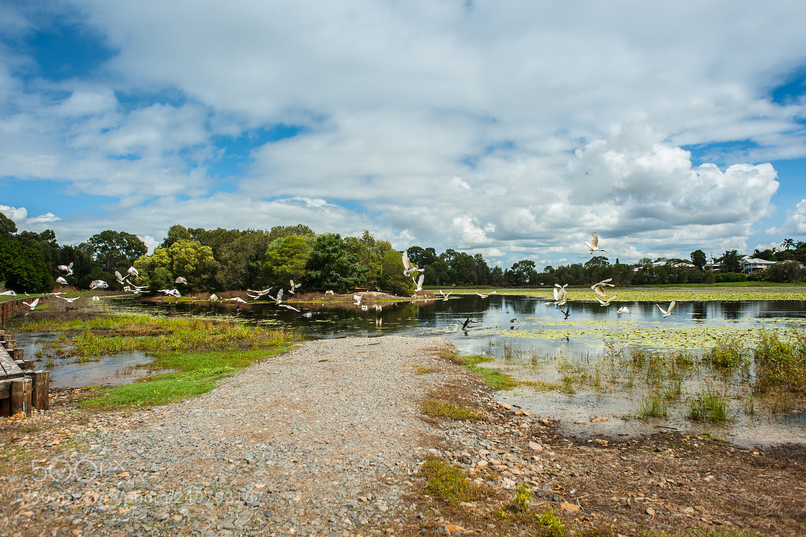 Nikon D700 sample photo. Arthur davis park photography