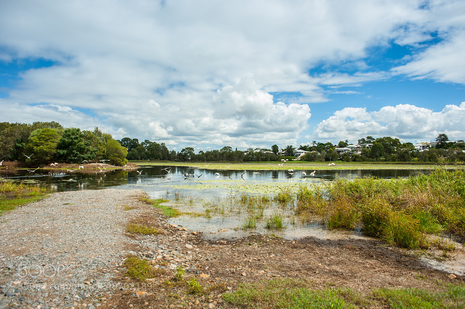 Nikon D700 sample photo. Arthur davis park photography