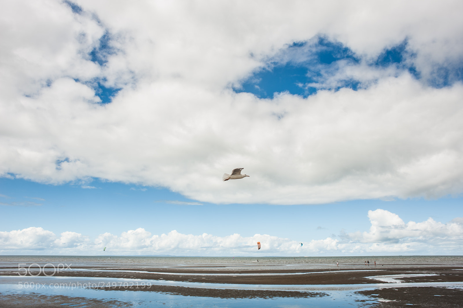 Nikon D700 sample photo. Arthur davis park photography