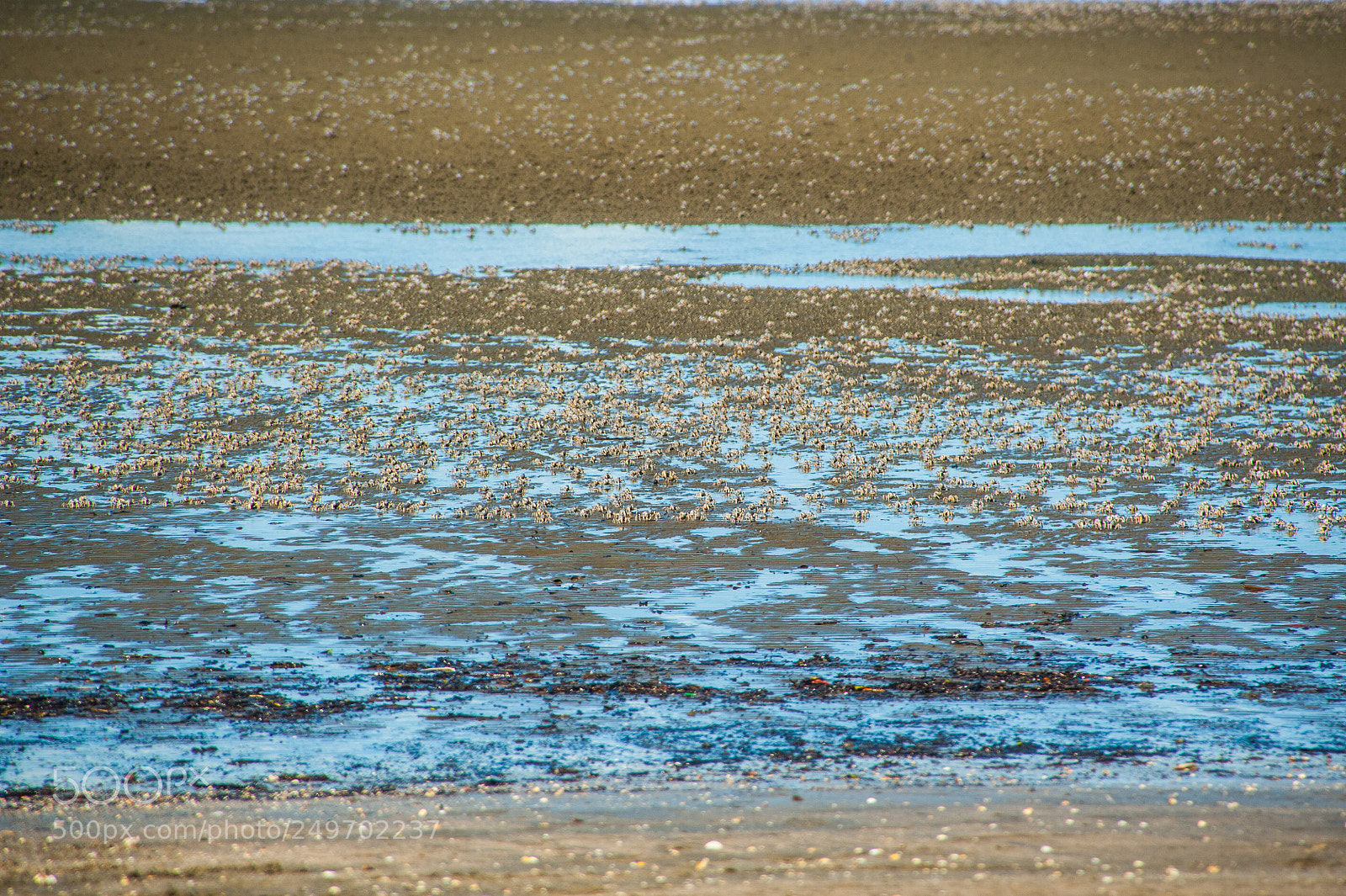 Nikon D700 sample photo. Arthur davis park photography