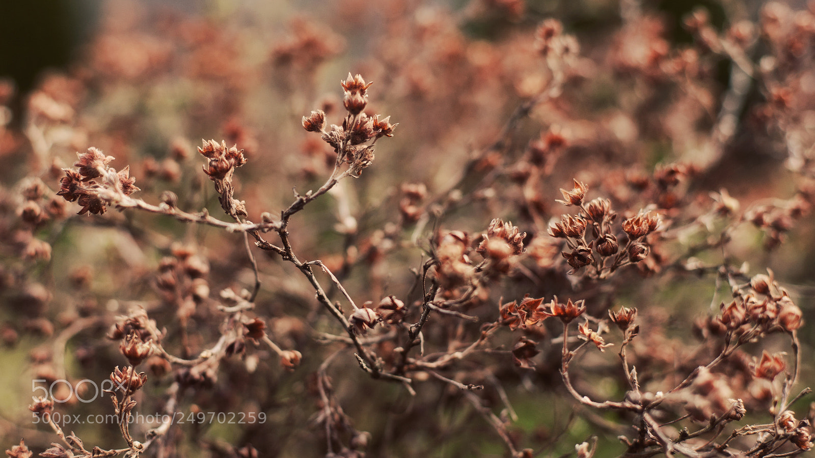 Canon EOS 5D sample photo. Untitled photography