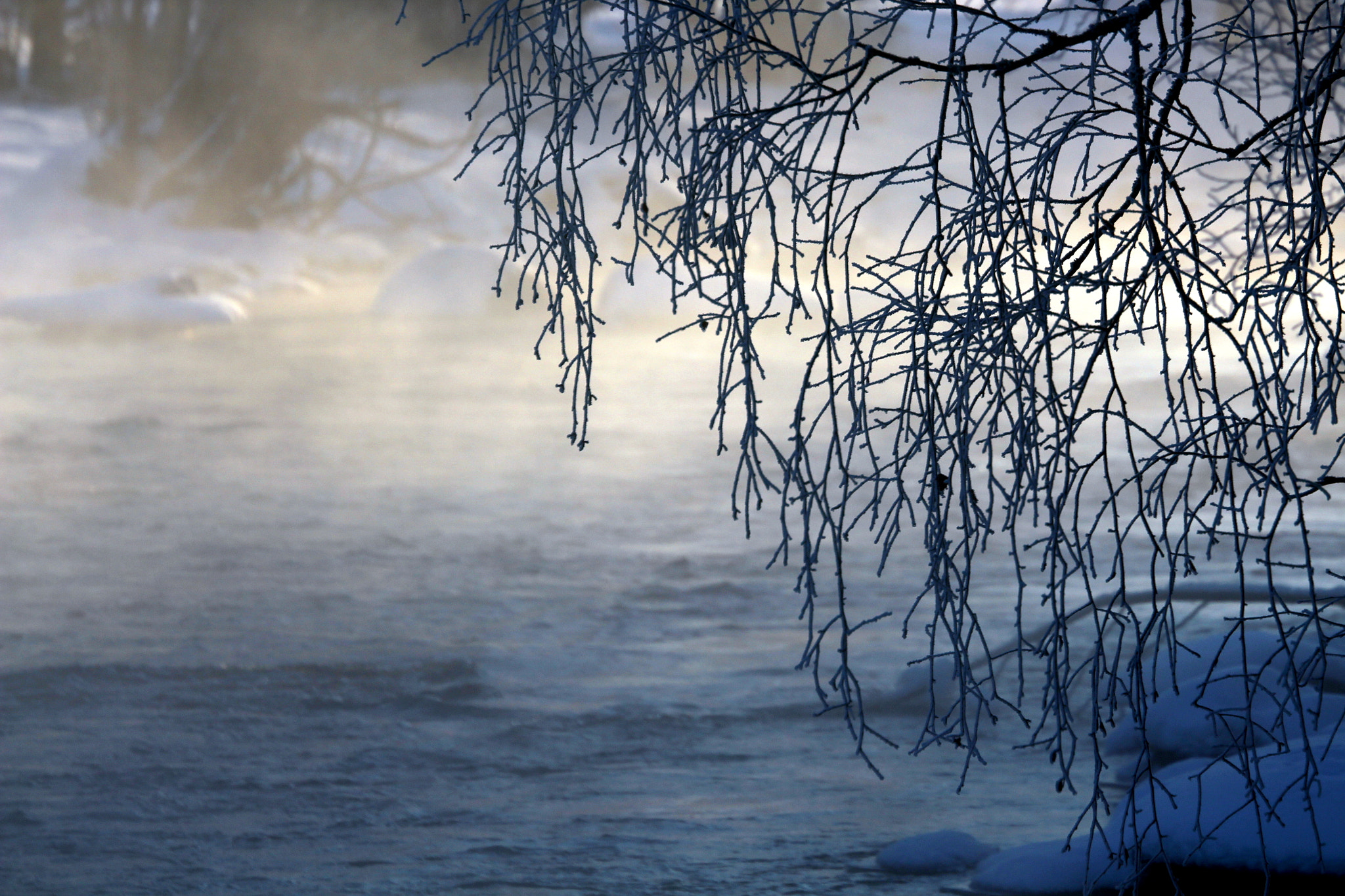 Canon EOS 700D (EOS Rebel T5i / EOS Kiss X7i) sample photo. Branch curtain photography