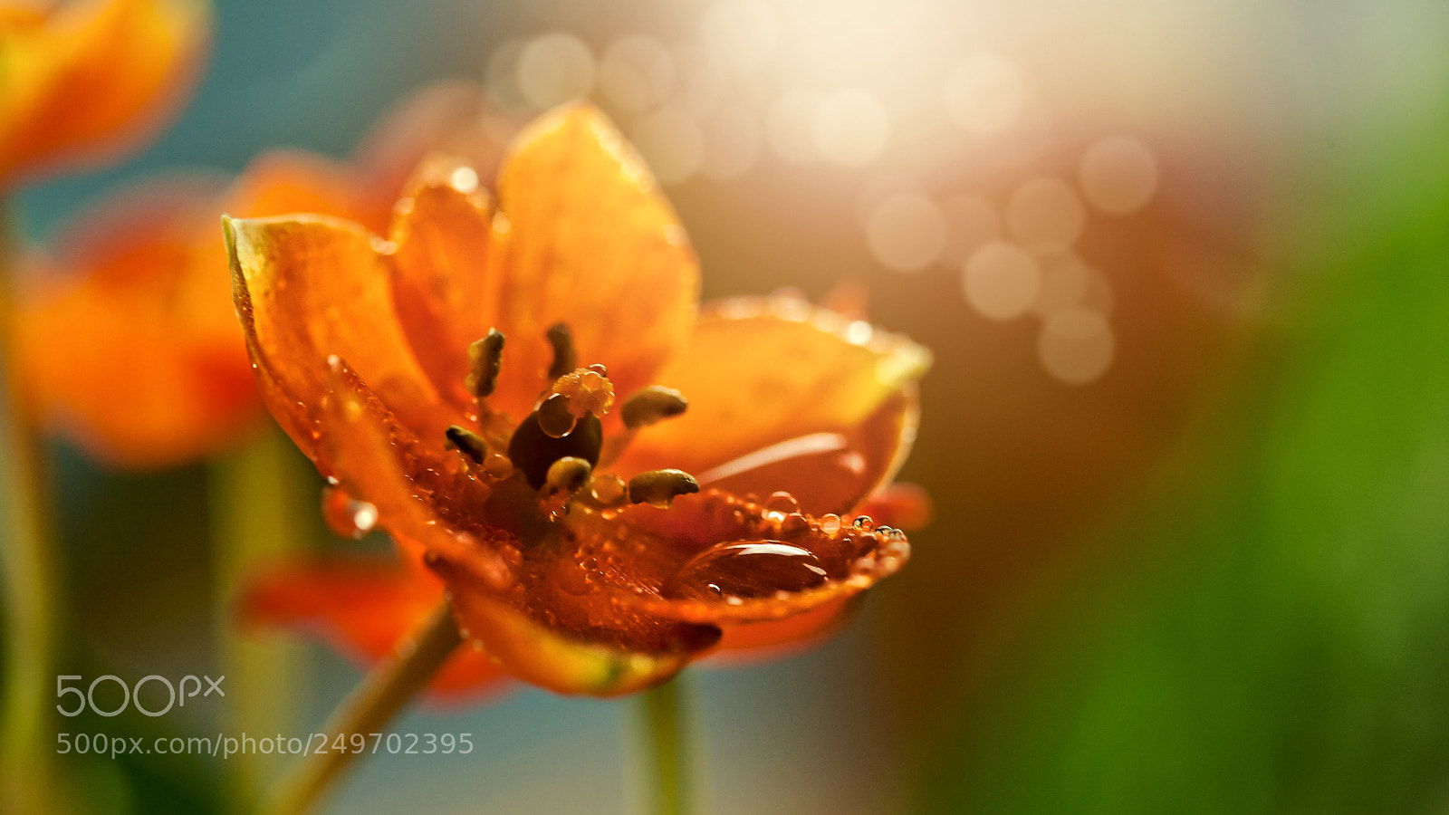 Canon EOS 5D sample photo. - photography