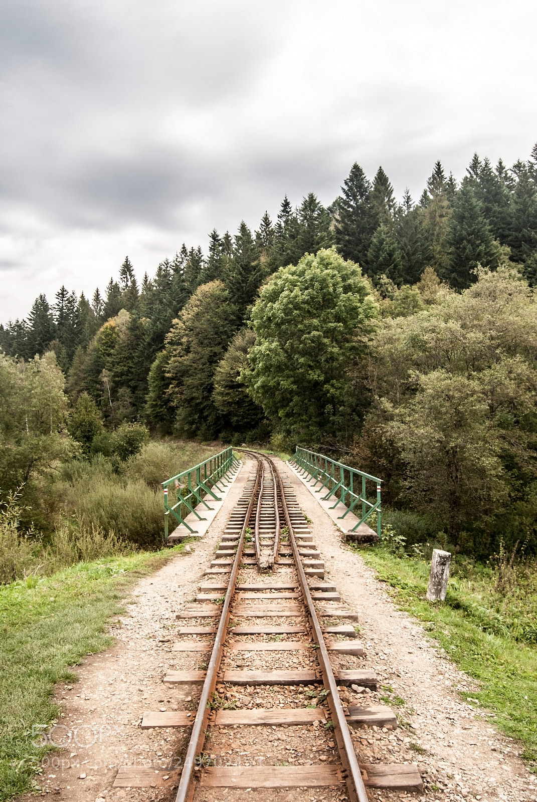 Nikon D60 sample photo. Narrow-gauge railway with bridge photography
