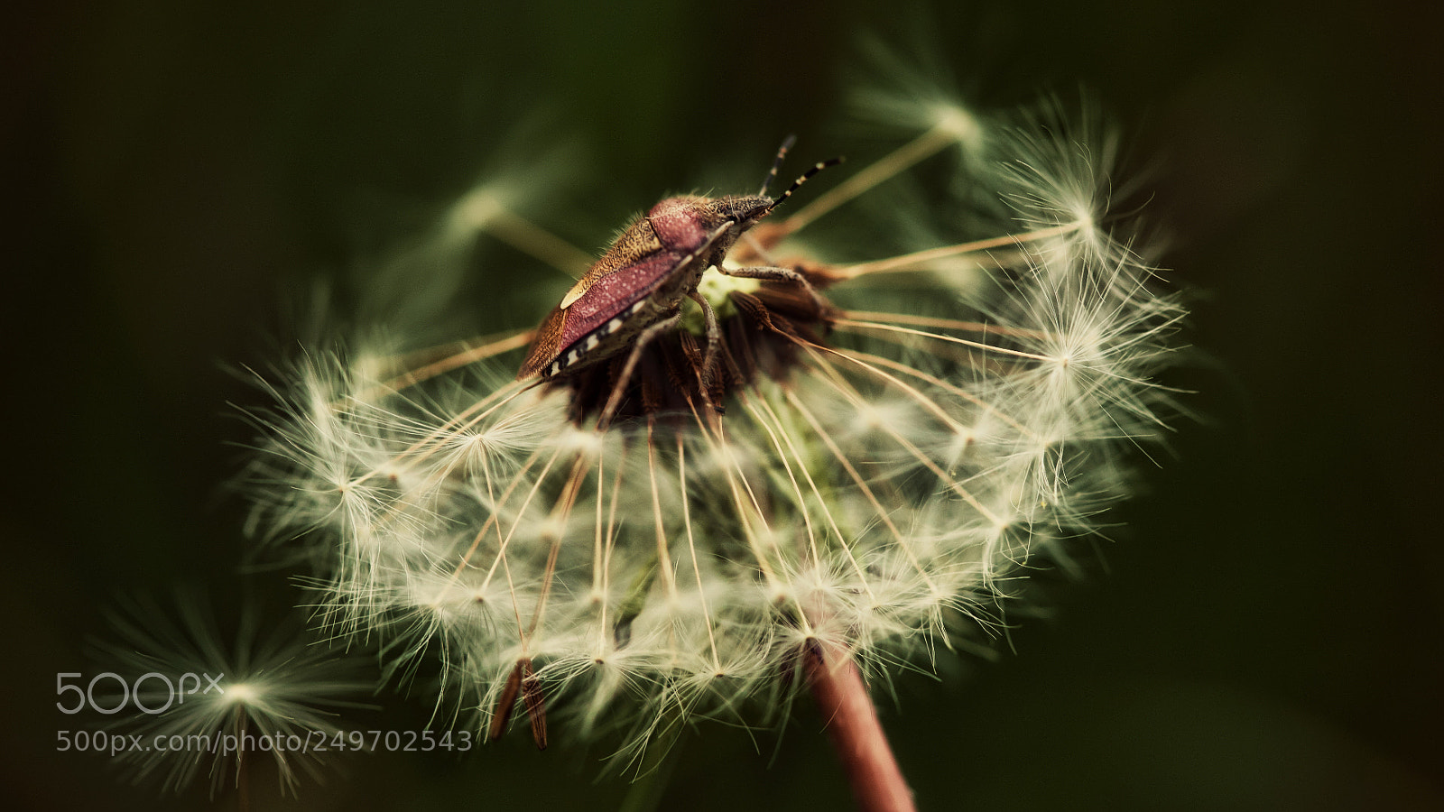 Canon EOS 5D sample photo. - photography