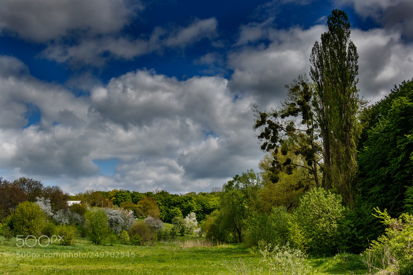 Canon EOS 7D Mark II sample photo. Spring photography