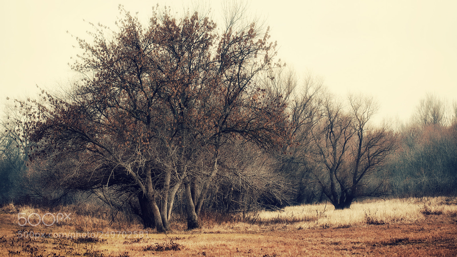 Canon EOS 5D sample photo. - photography