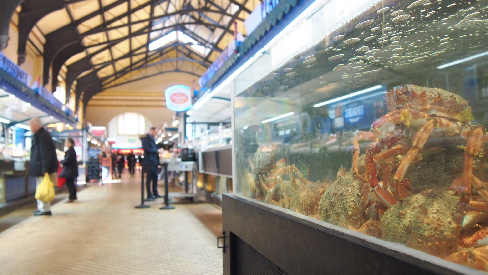 Olympus PEN E-PM1 sample photo. Aquarium photography