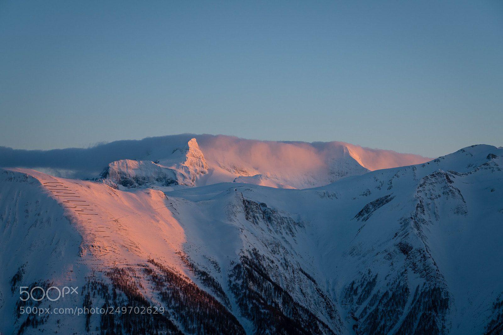 Sony a7R II sample photo. Winter colours photography