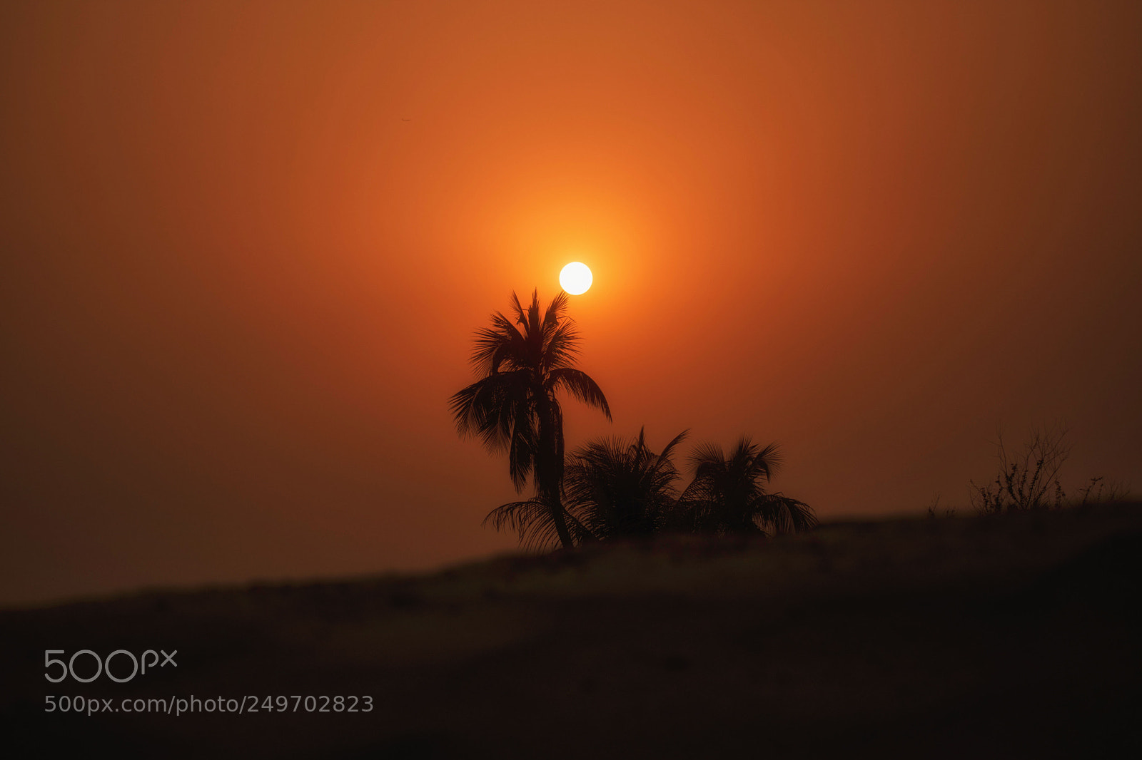 Nikon D5500 sample photo. Sunsets photography