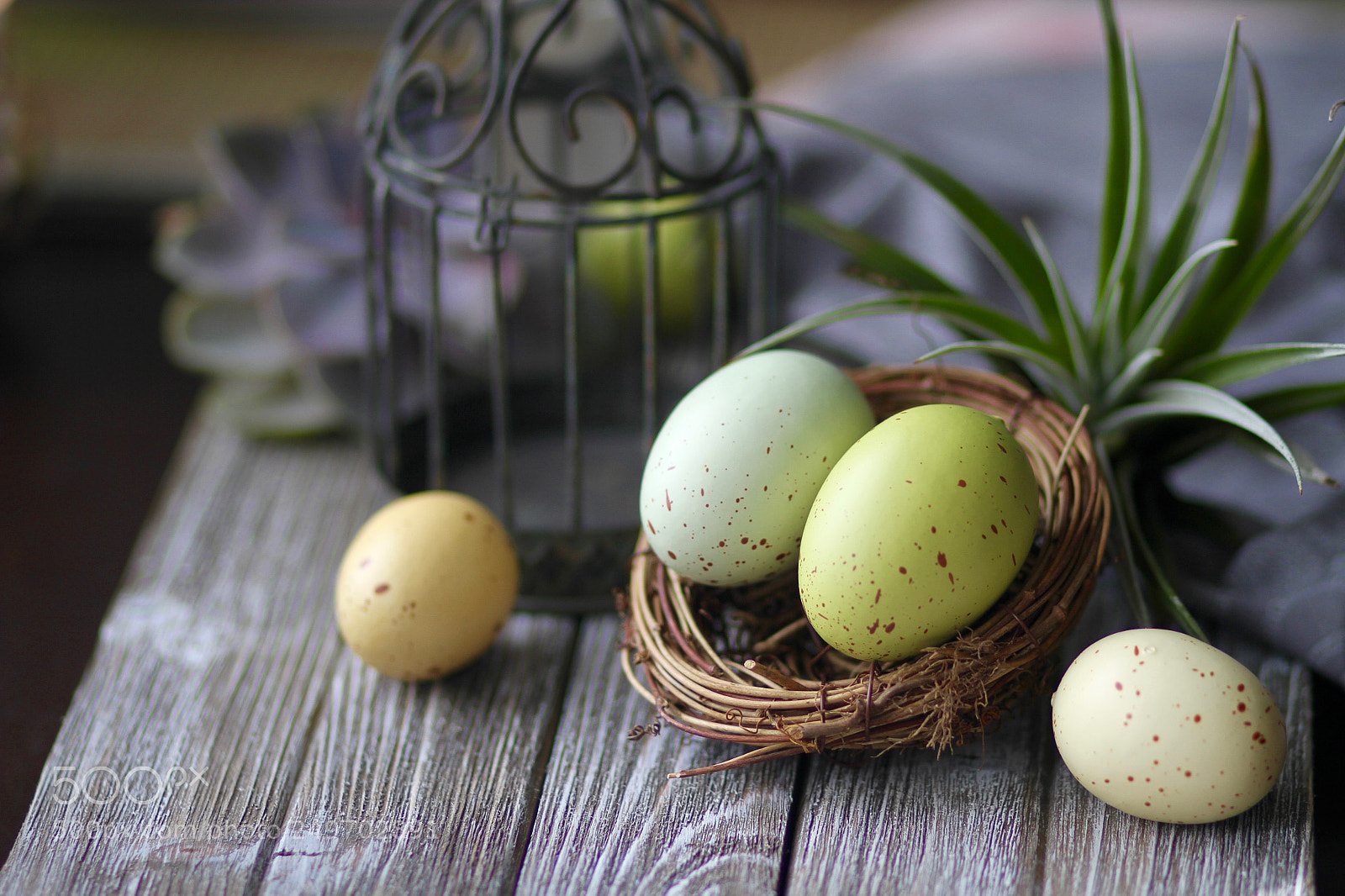 Canon EOS 7D sample photo. Easter bunny's lost eggs photography