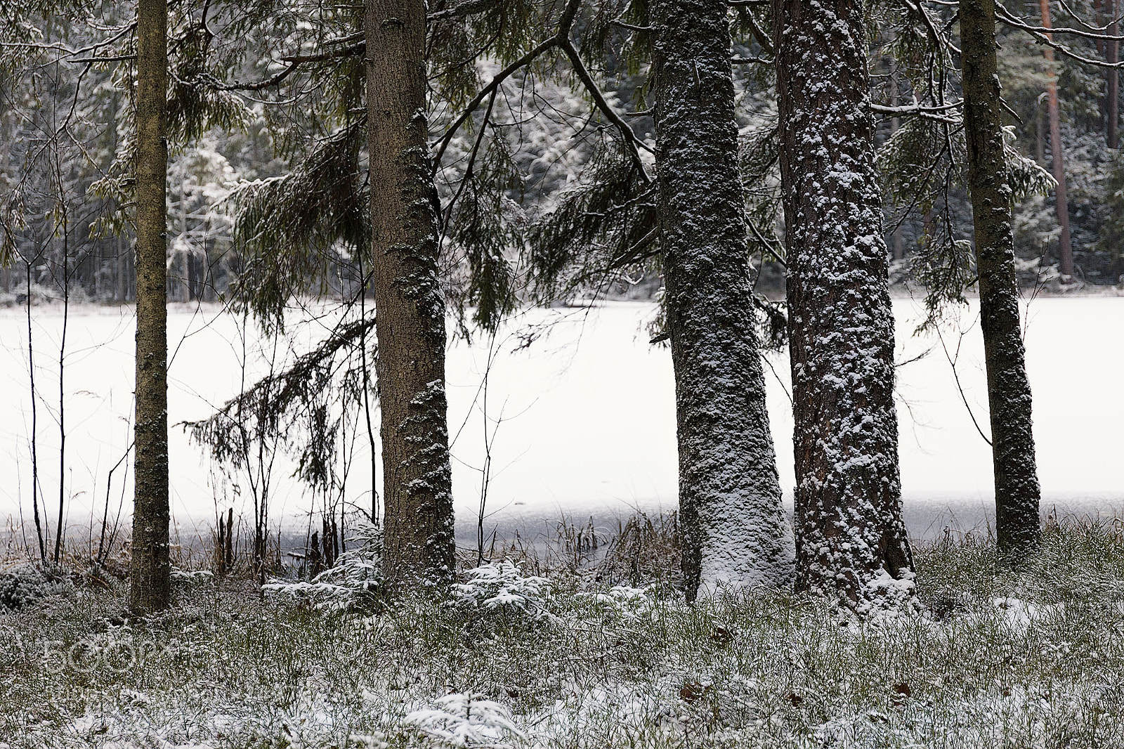 Canon EOS 5D Mark II sample photo. Winter lake photography