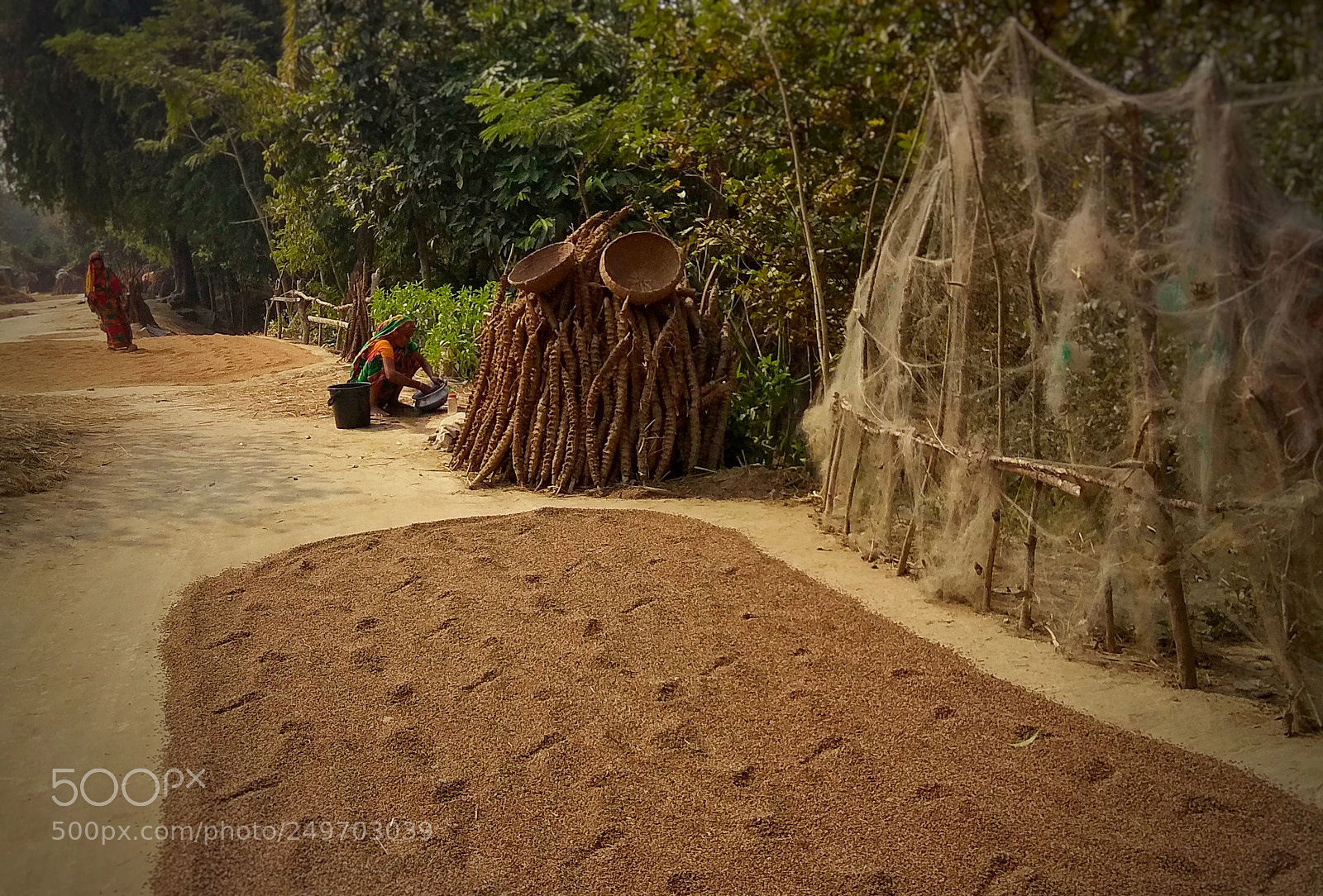 Xiaomi Redmi Note 4 sample photo. Beautiful bangladesh photography