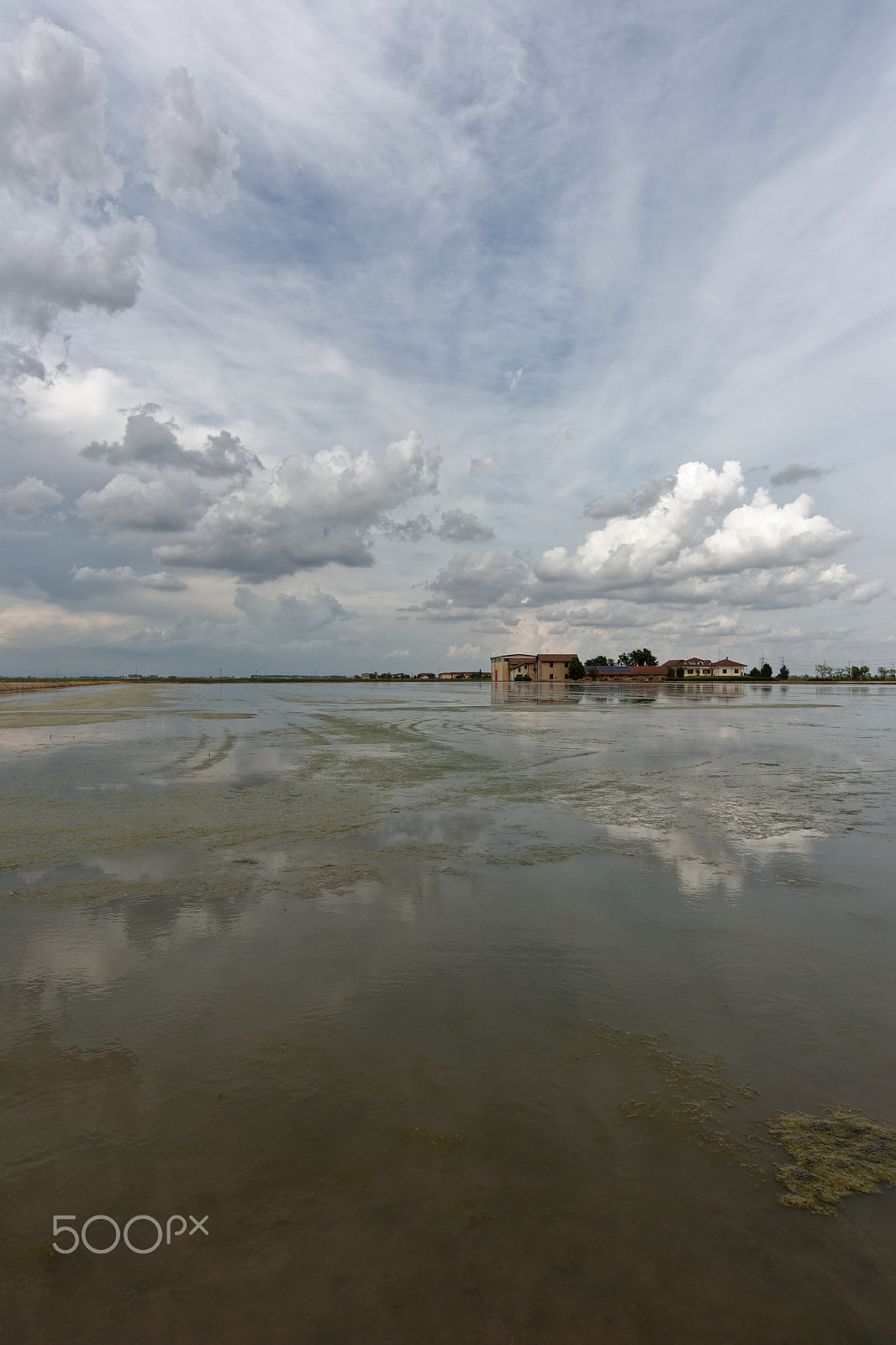 Nikon D7100 + Nikon AF-S Nikkor 14-24mm F2.8G ED sample photo. Rice field photography