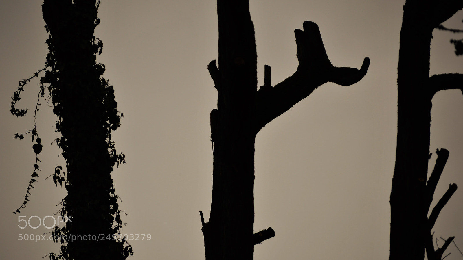 Nikon D3200 sample photo. Untitled photography