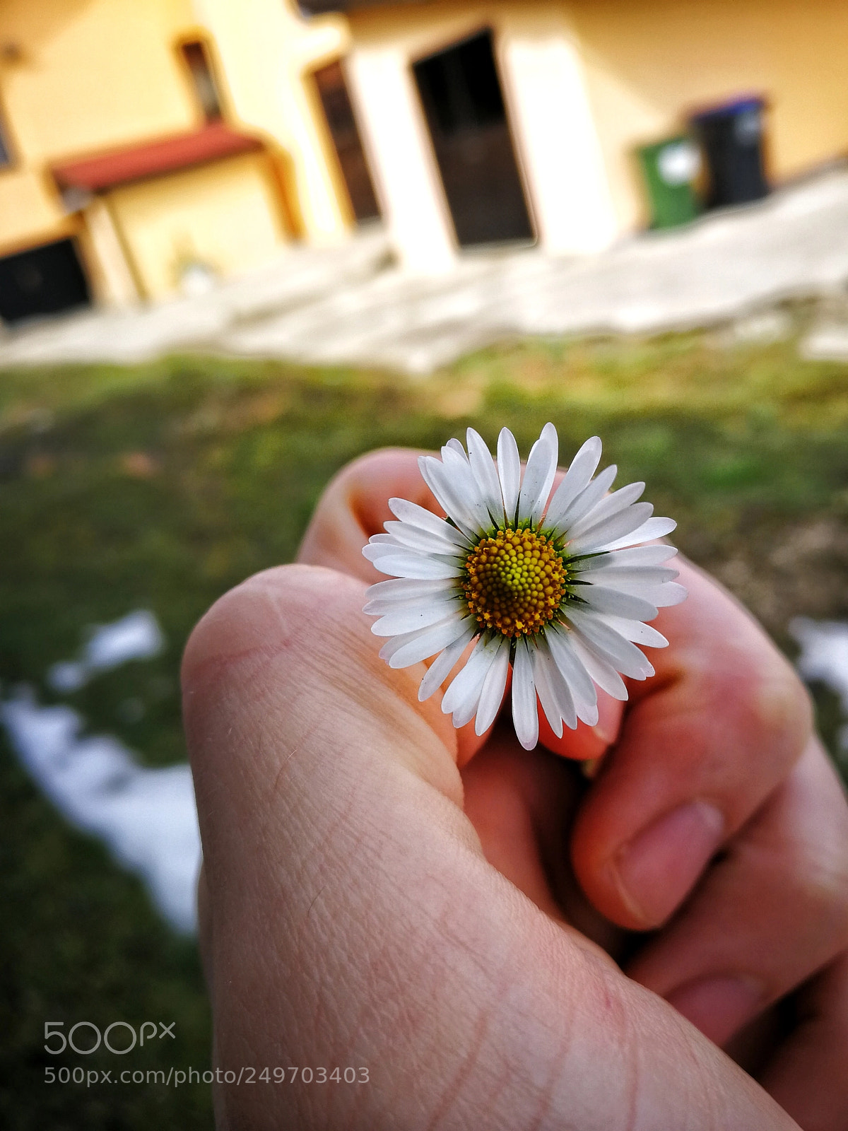 HUAWEI P10 sample photo. Untitled photography