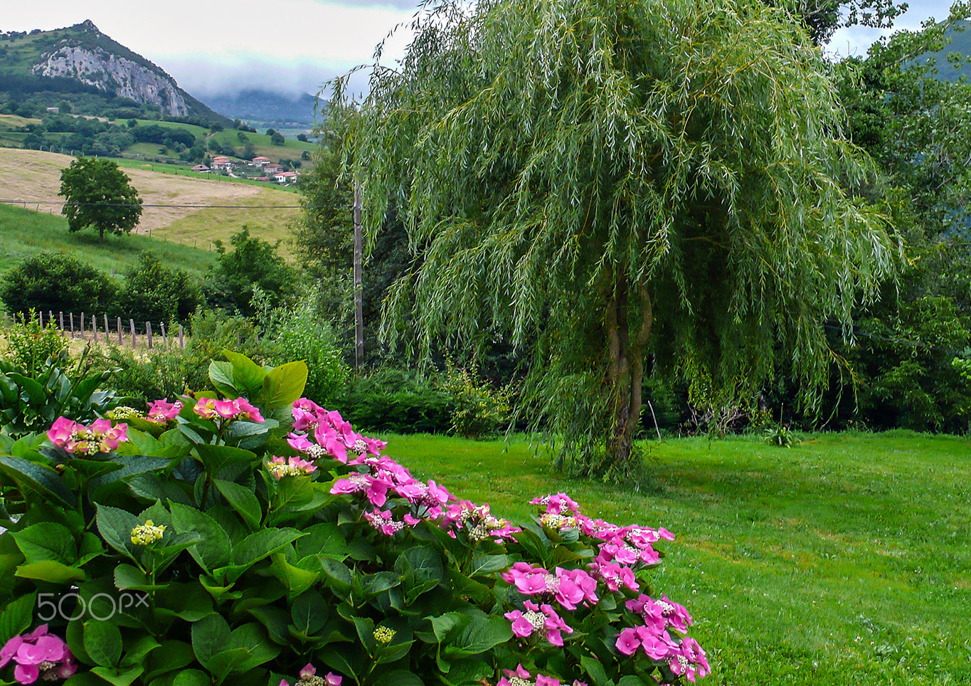 Leica D-LUX 3 sample photo. Valle de soba, cantabria photography