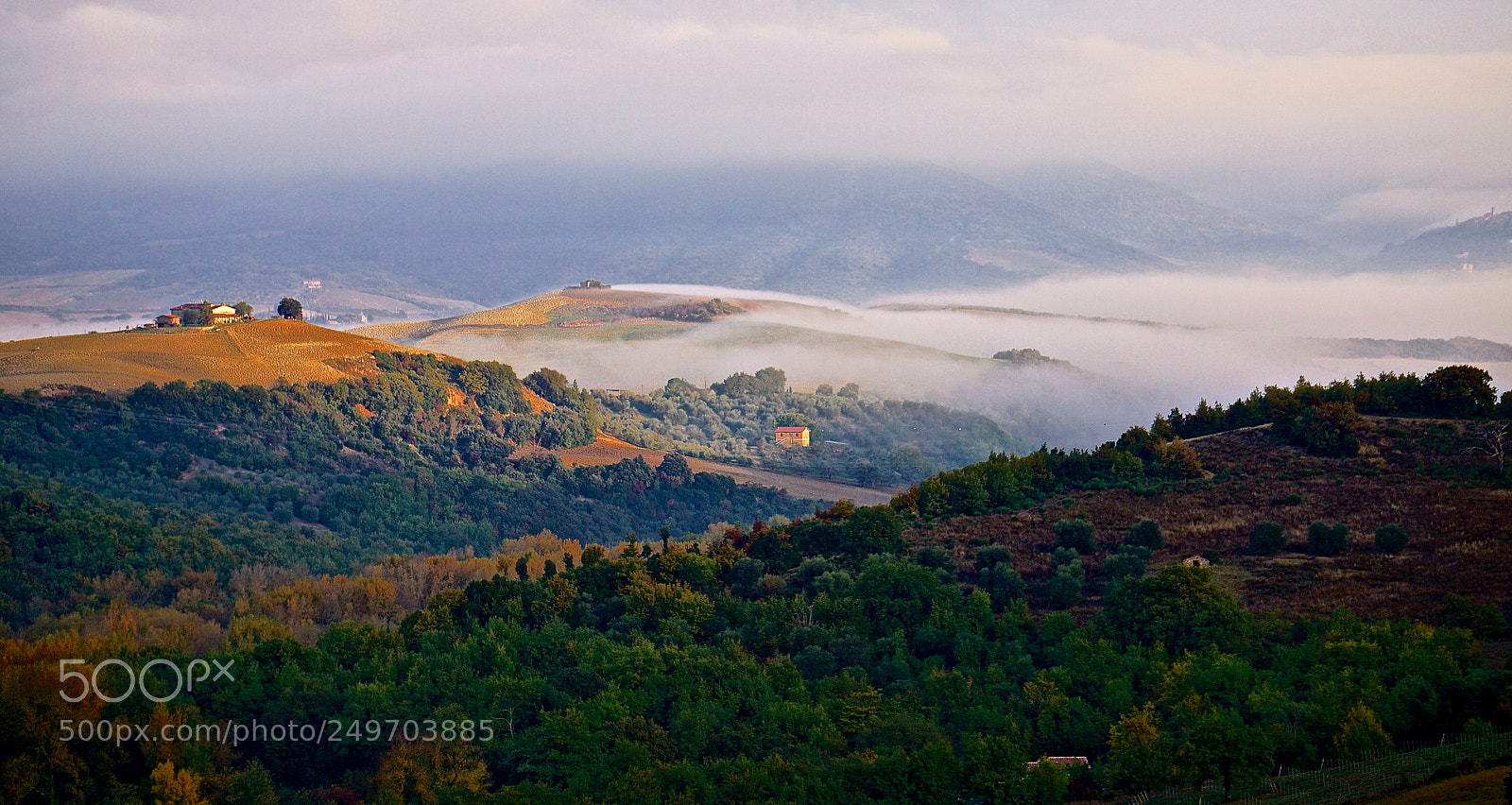 Sony a6000 sample photo. Dsc photography